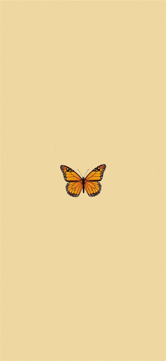 A Butterfly Is Sitting On A Beige Background Background