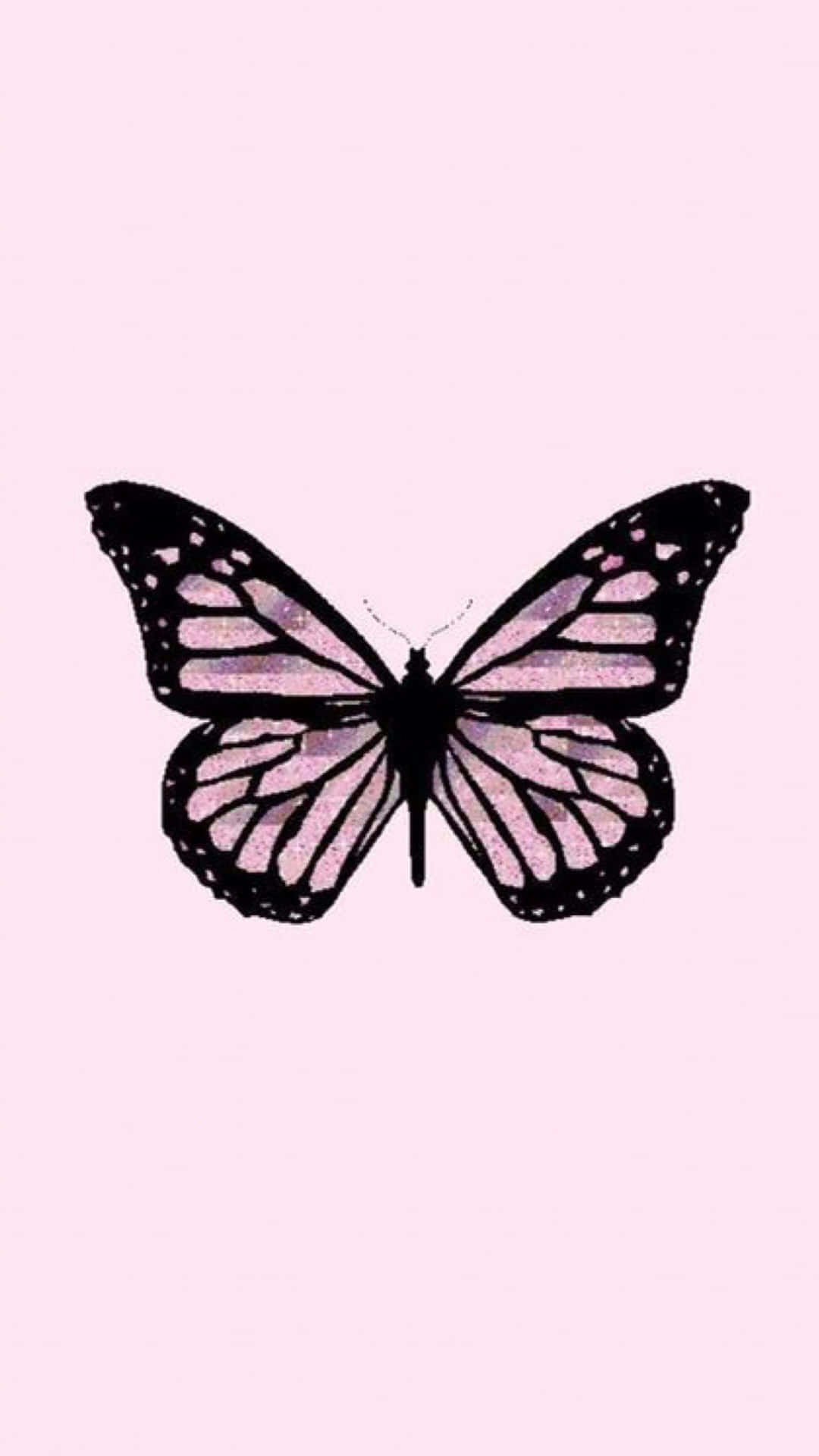 A Butterfly On A Pink Background Background