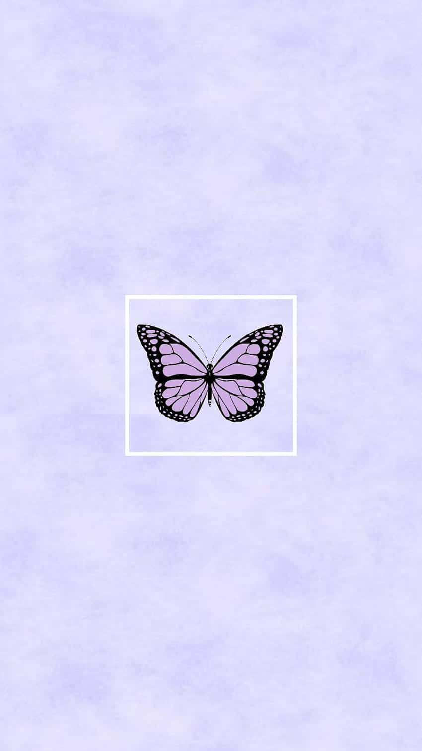 A Butterfly On A Purple Background Background