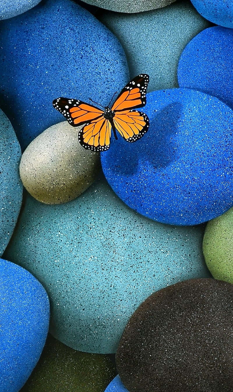 A Butterfly Sitting On A Blue Pebble Background