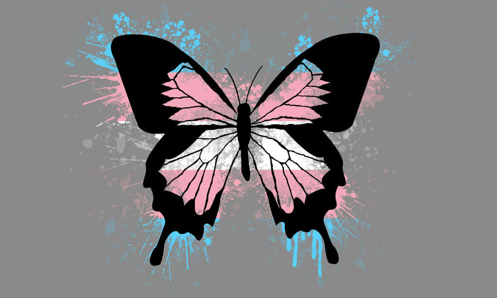 A Butterfly With Pink And Blue Paint Splatters On A Gray Background Background