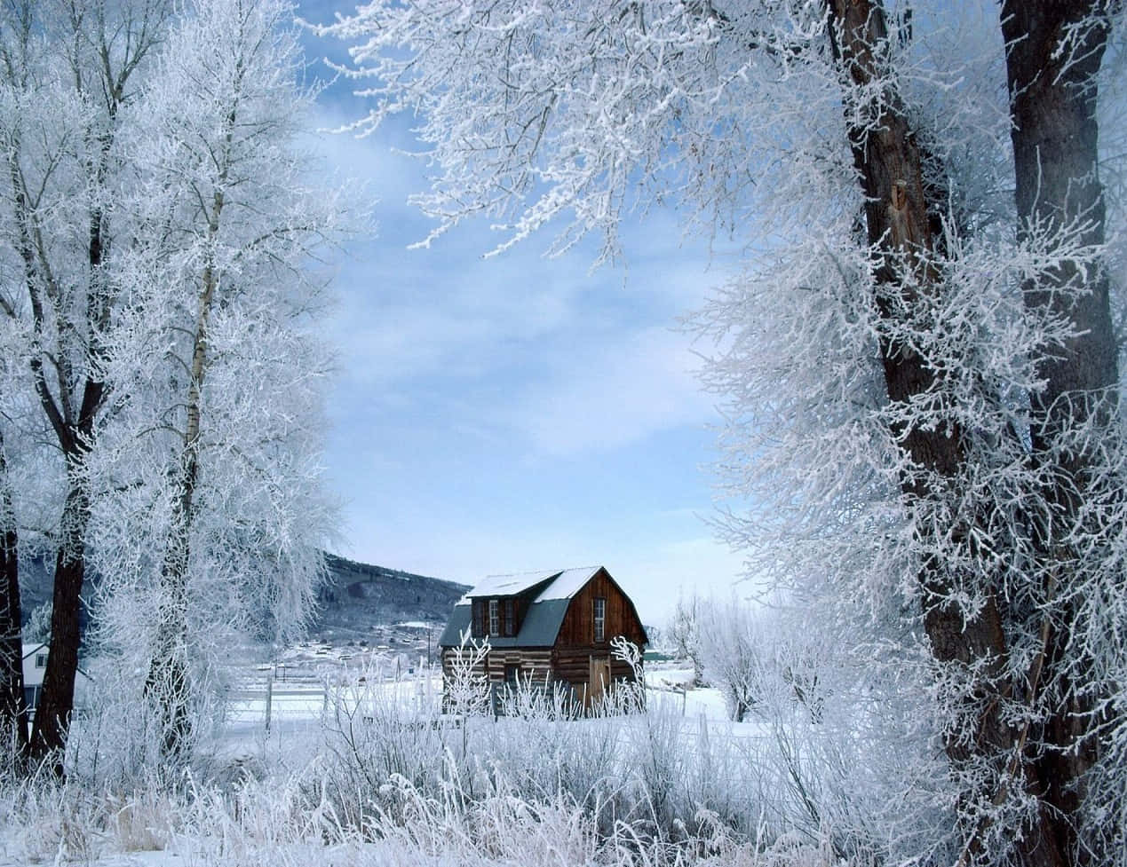 A Cabin Winter Wonderland Desktop