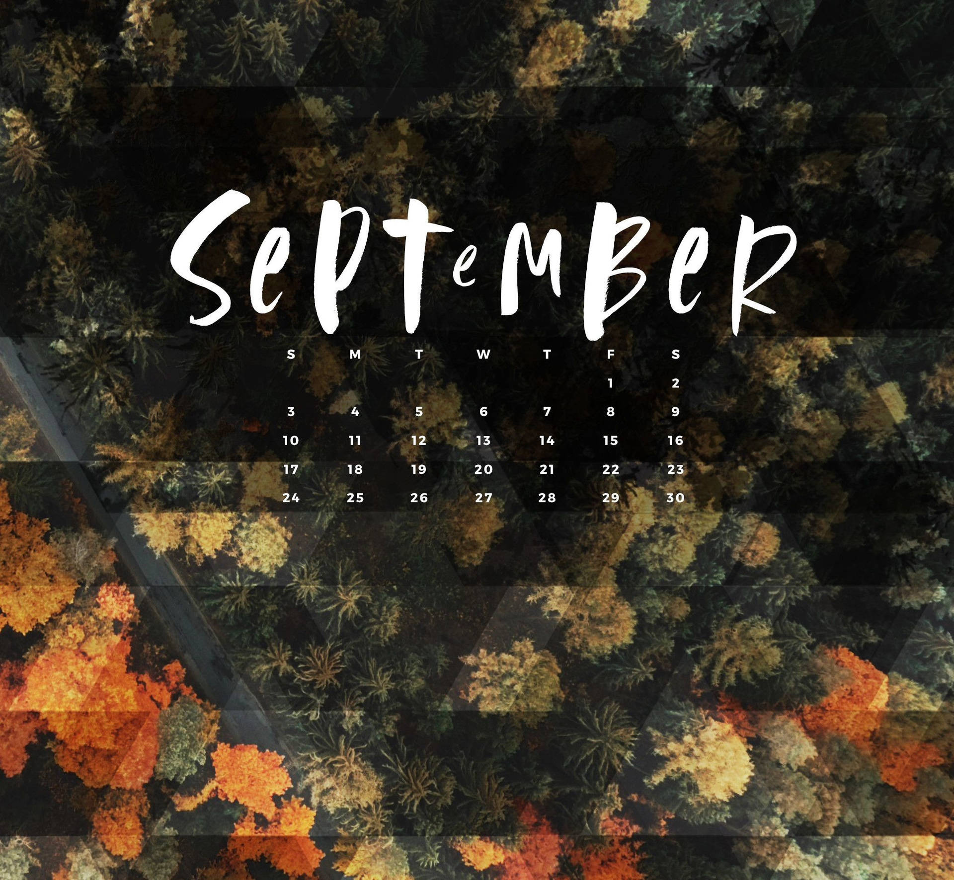 A Calendar And Lush Trees To Mark The Beginning Of September.