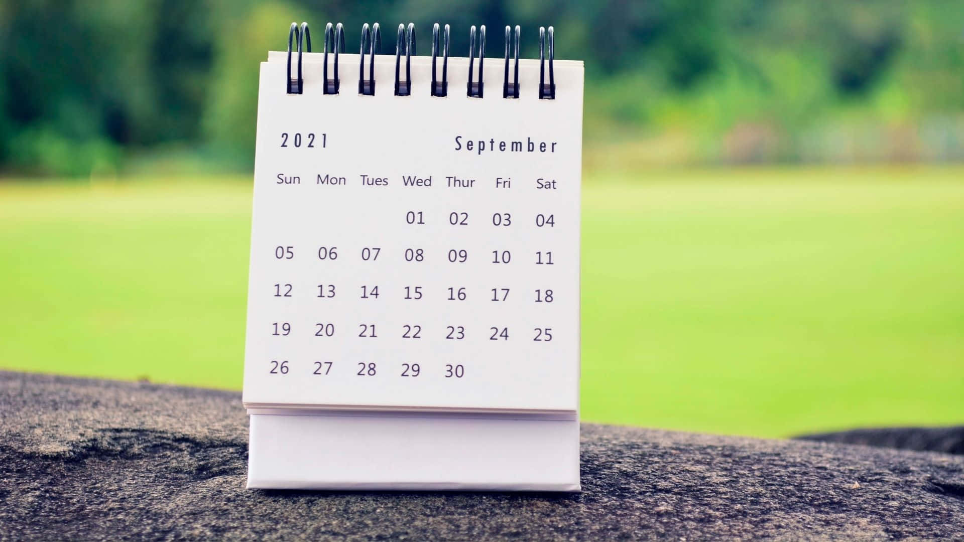 A Calendar Sitting On Top Of A Rock Background