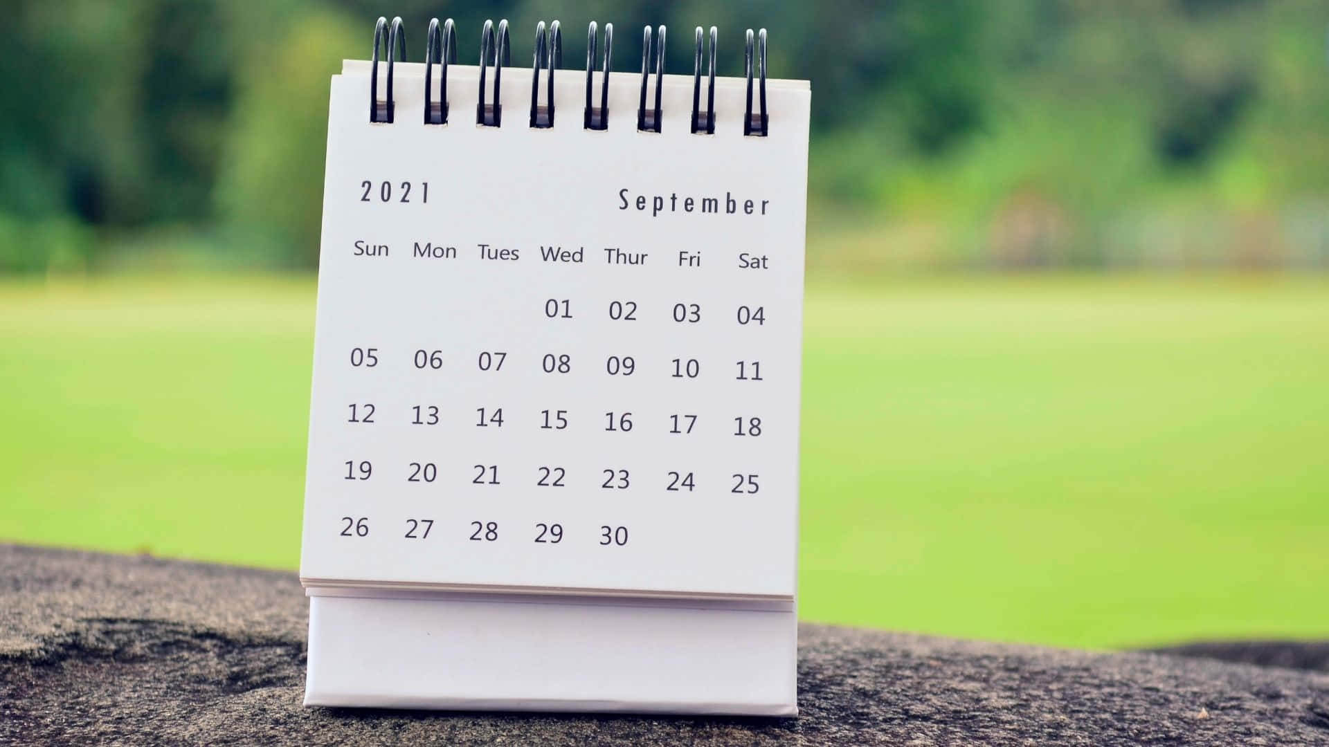 A Calendar Sitting On Top Of A Rock