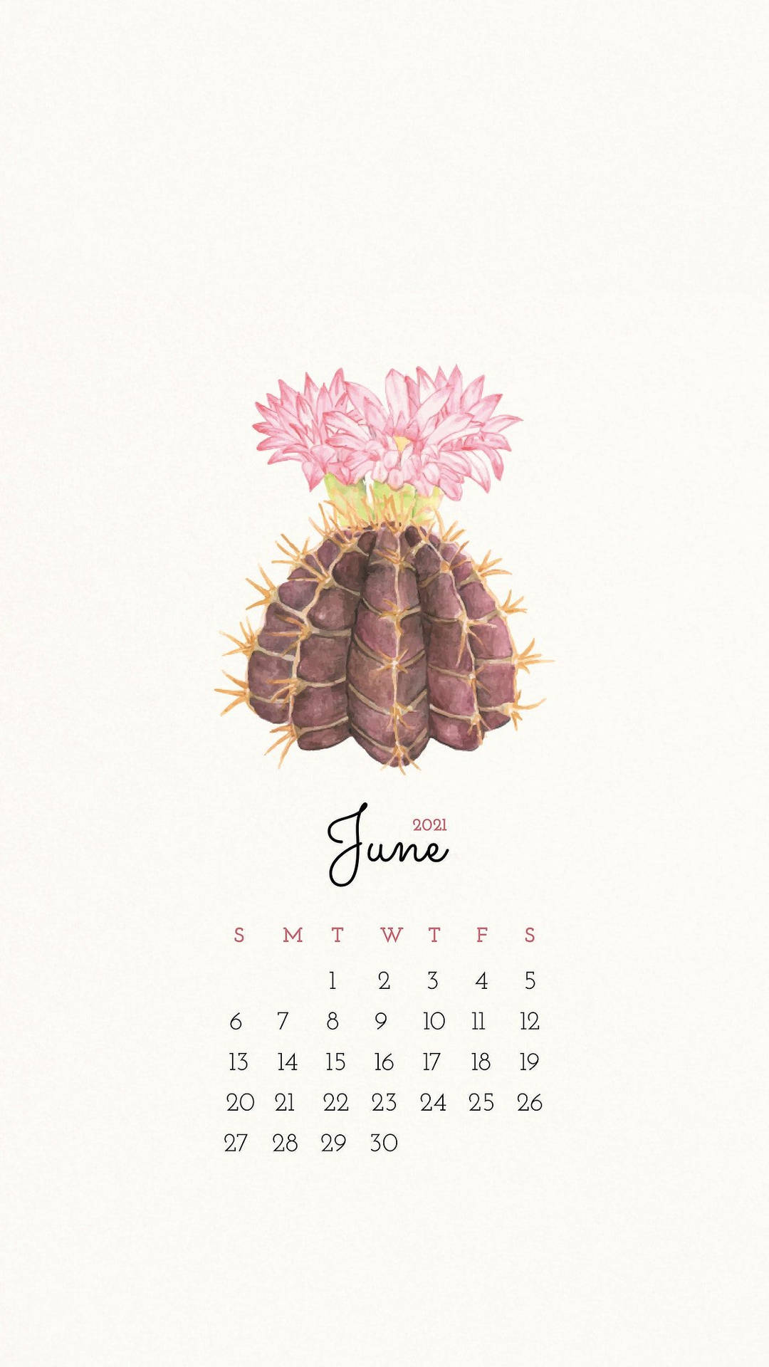 A Calendar With A Cactus On It Background