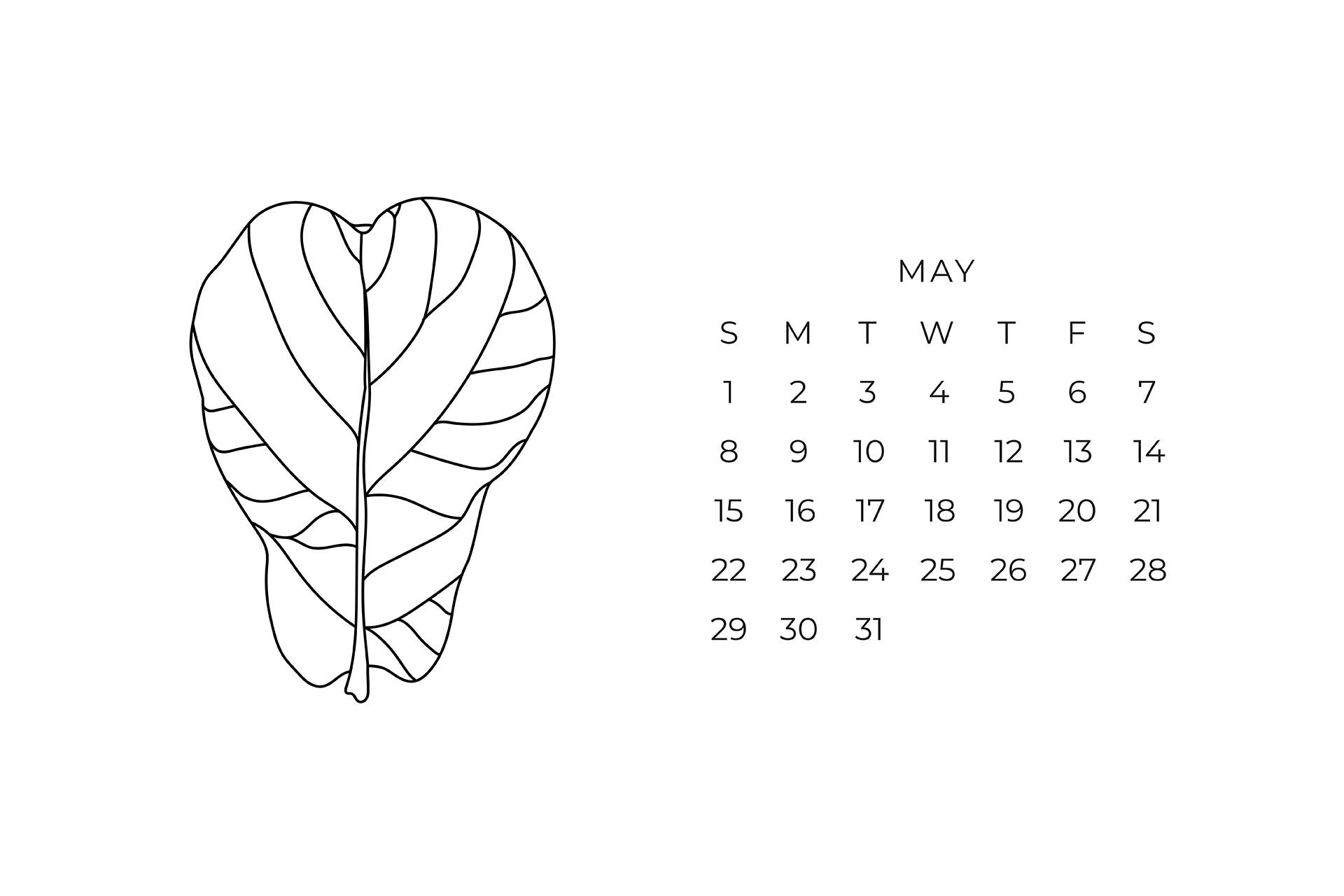 A Calendar With A Leaf On It Background