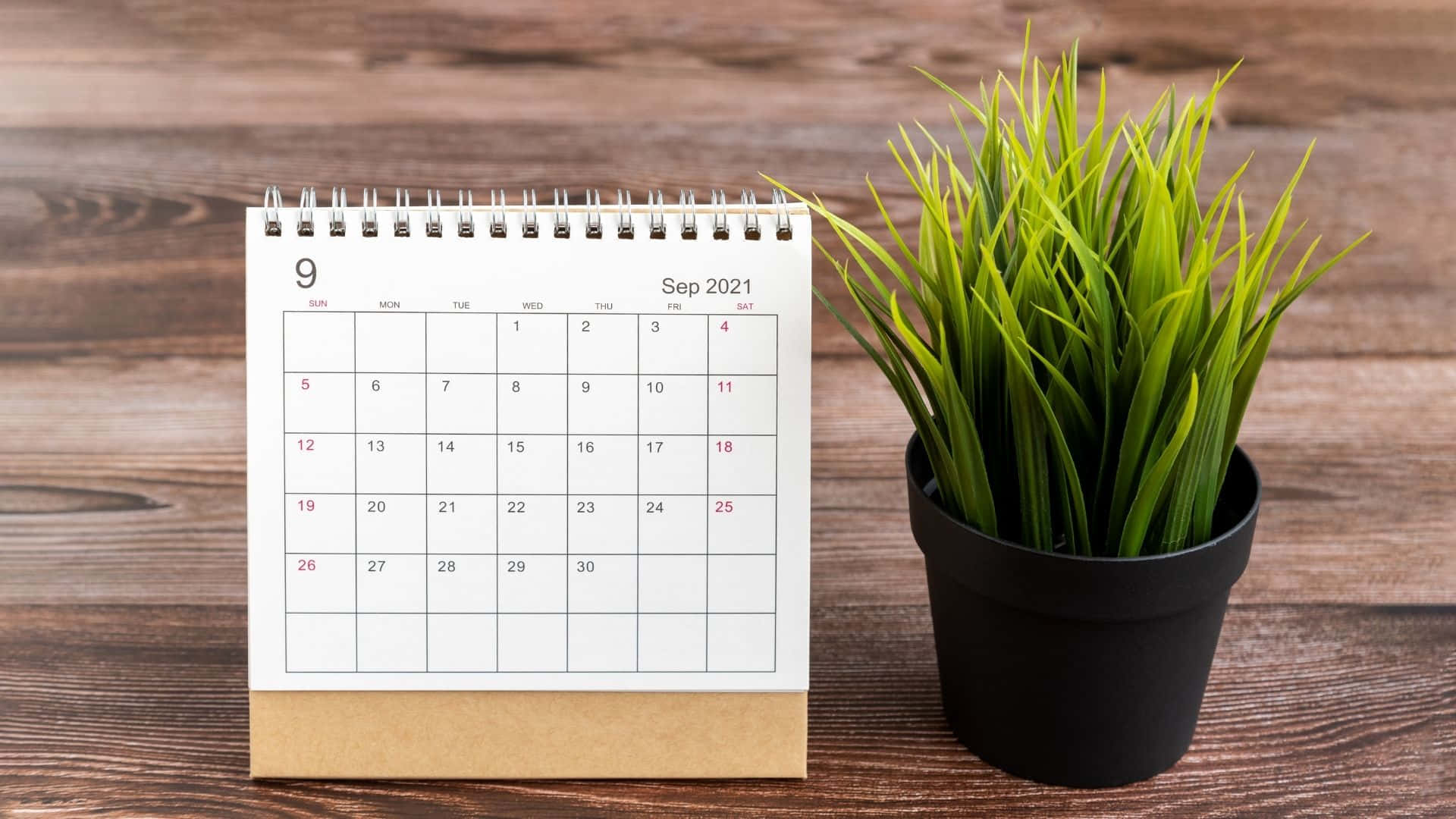 A Calendar With A Plant On A Wooden Table Background