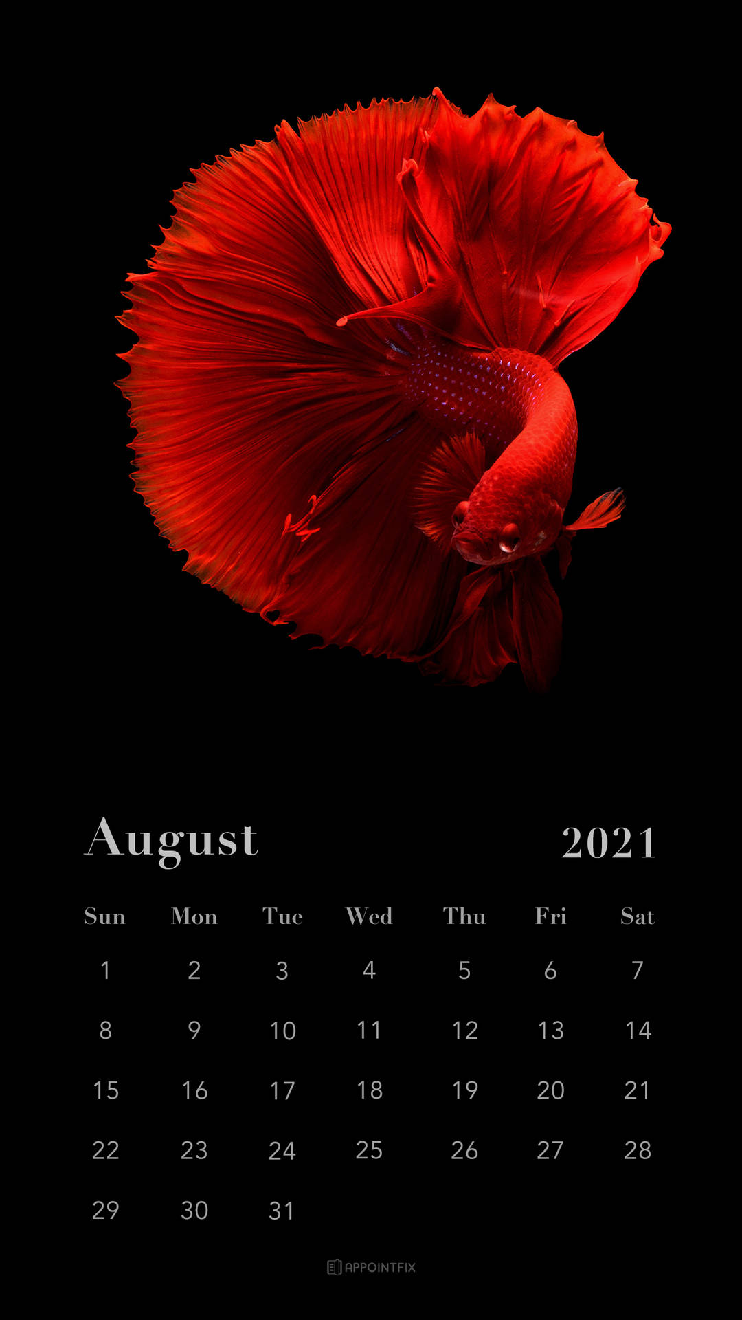 A Calendar With A Red Fish On It