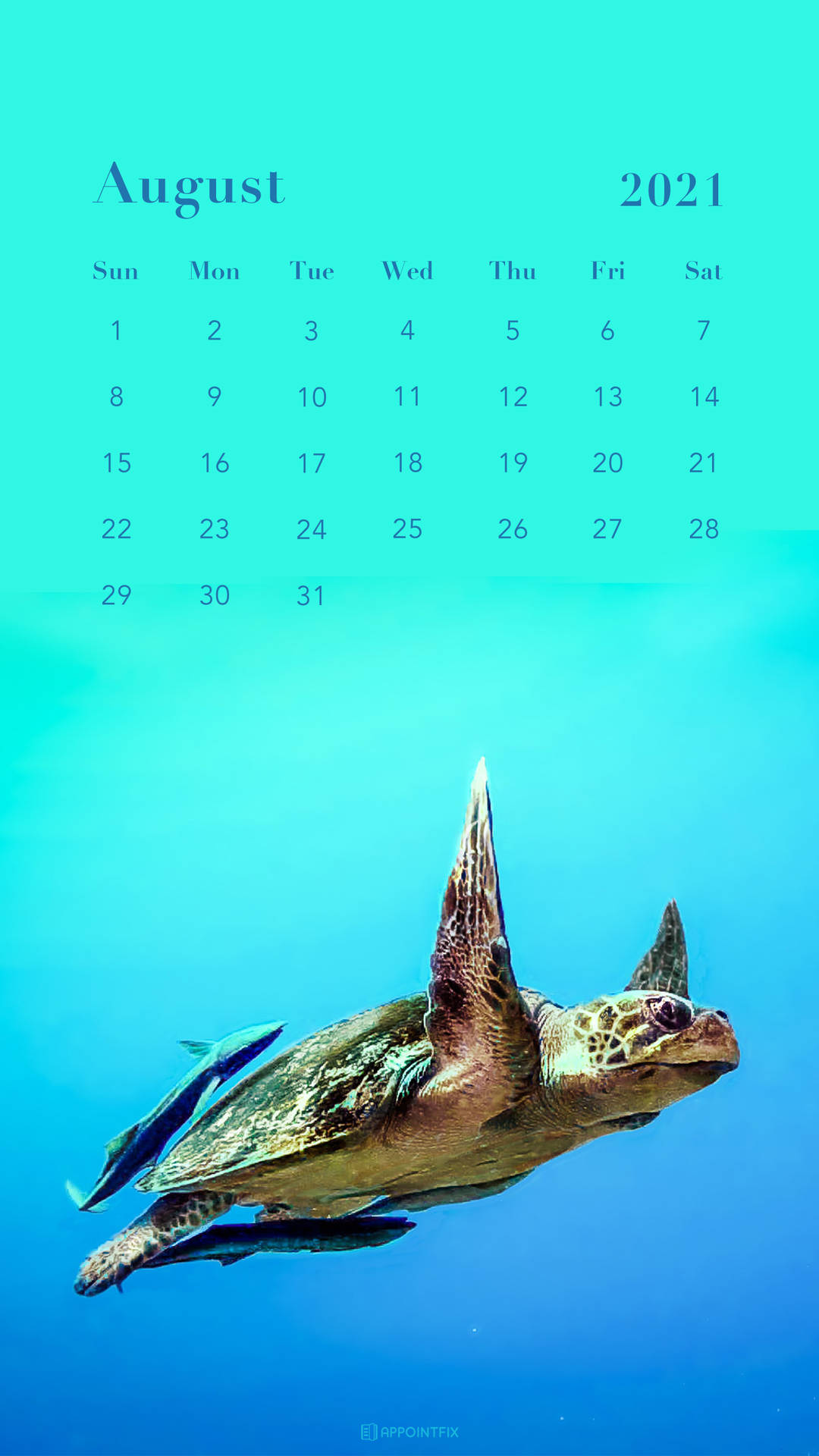 A Calendar With A Turtle Swimming In The Ocean Background