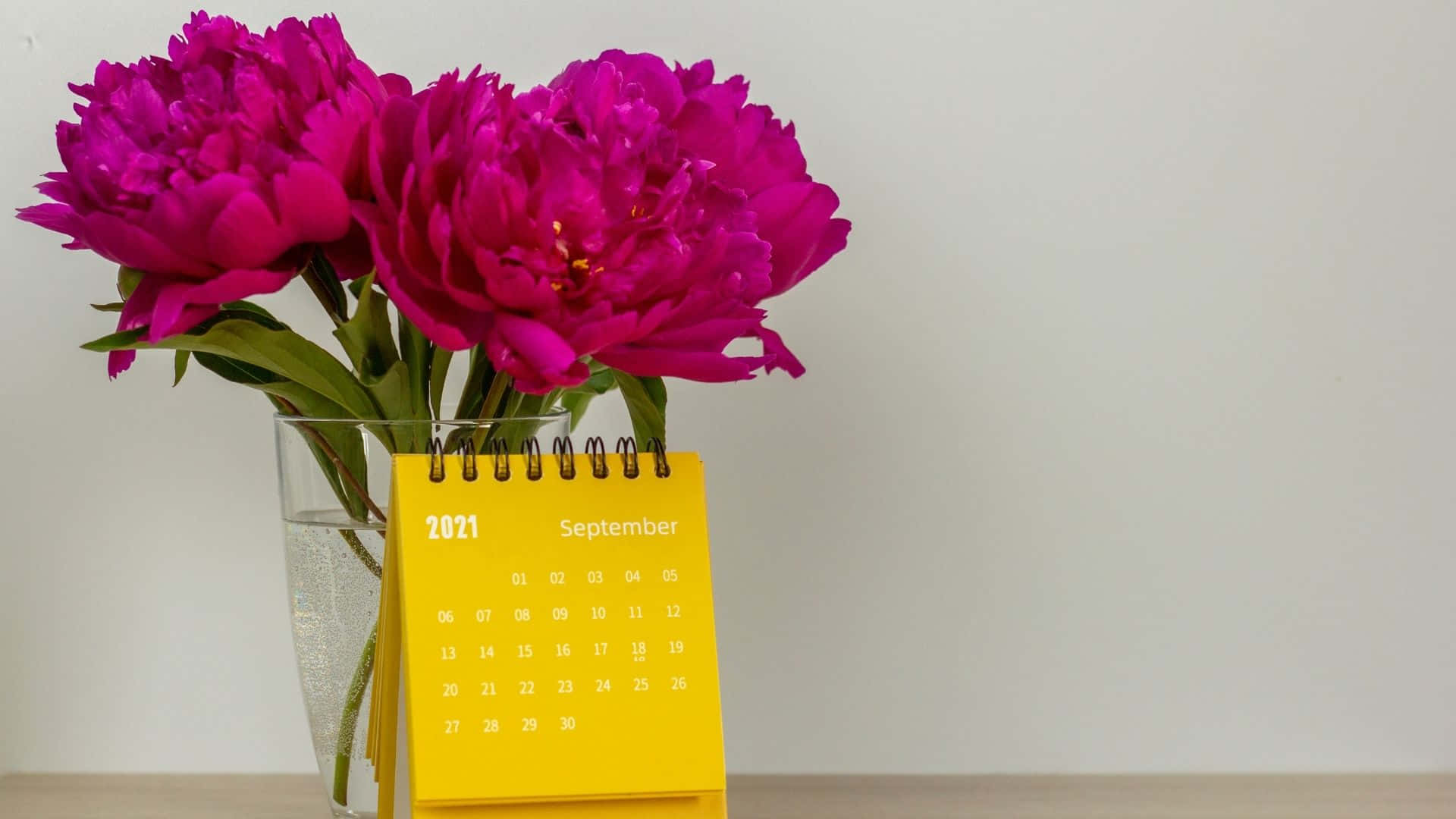 A Calendar With Flowers In A Vase Background