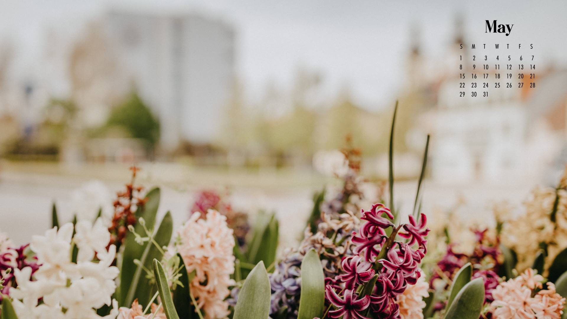 A Calendar With Flowers In Front Of It Background