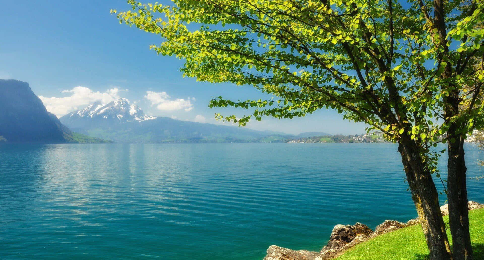 A Calm And Serene Reflection Of Nature