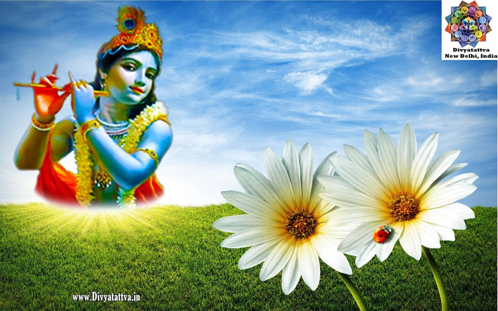 A Calming And Uplifting Spiritual Background For Your Desktop. Background