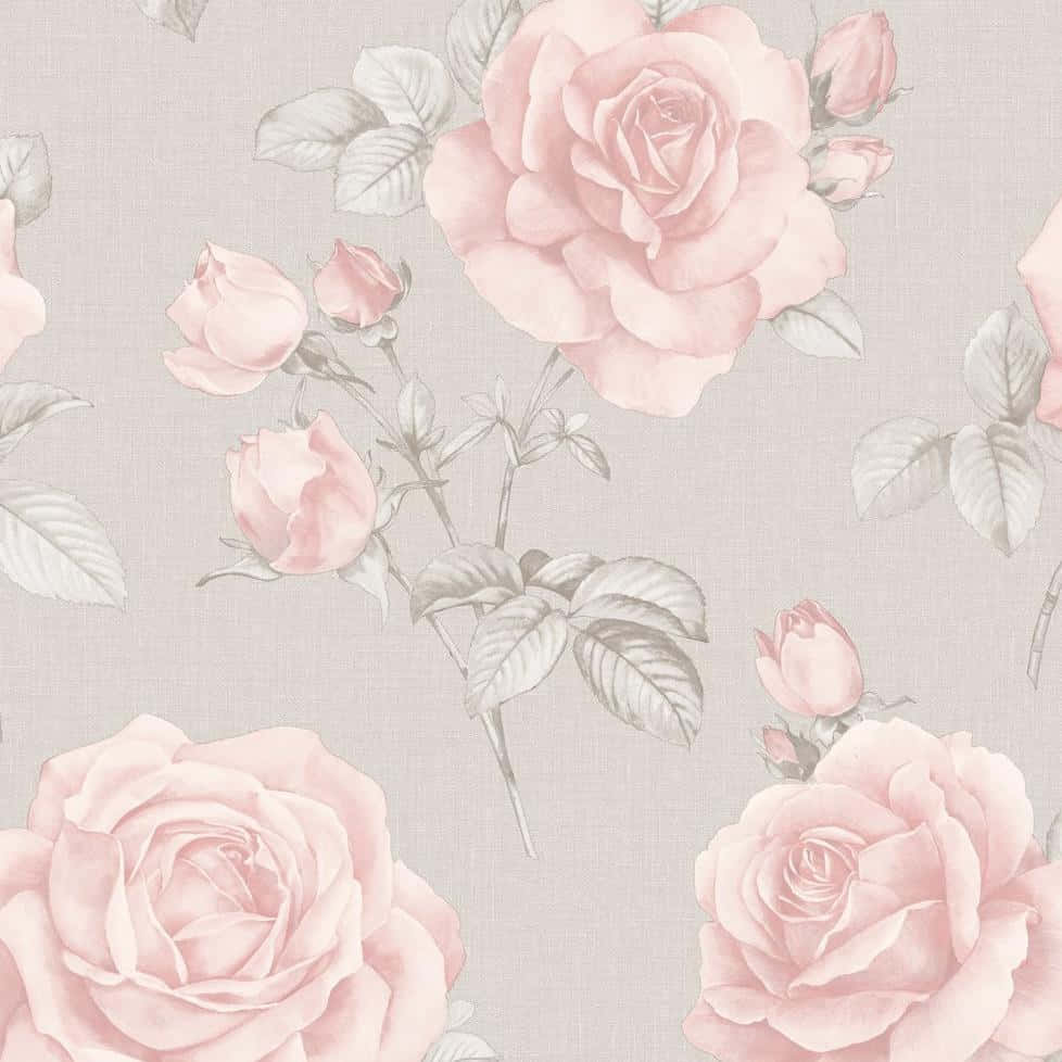A Calming Blend Of Grey And Pink Background