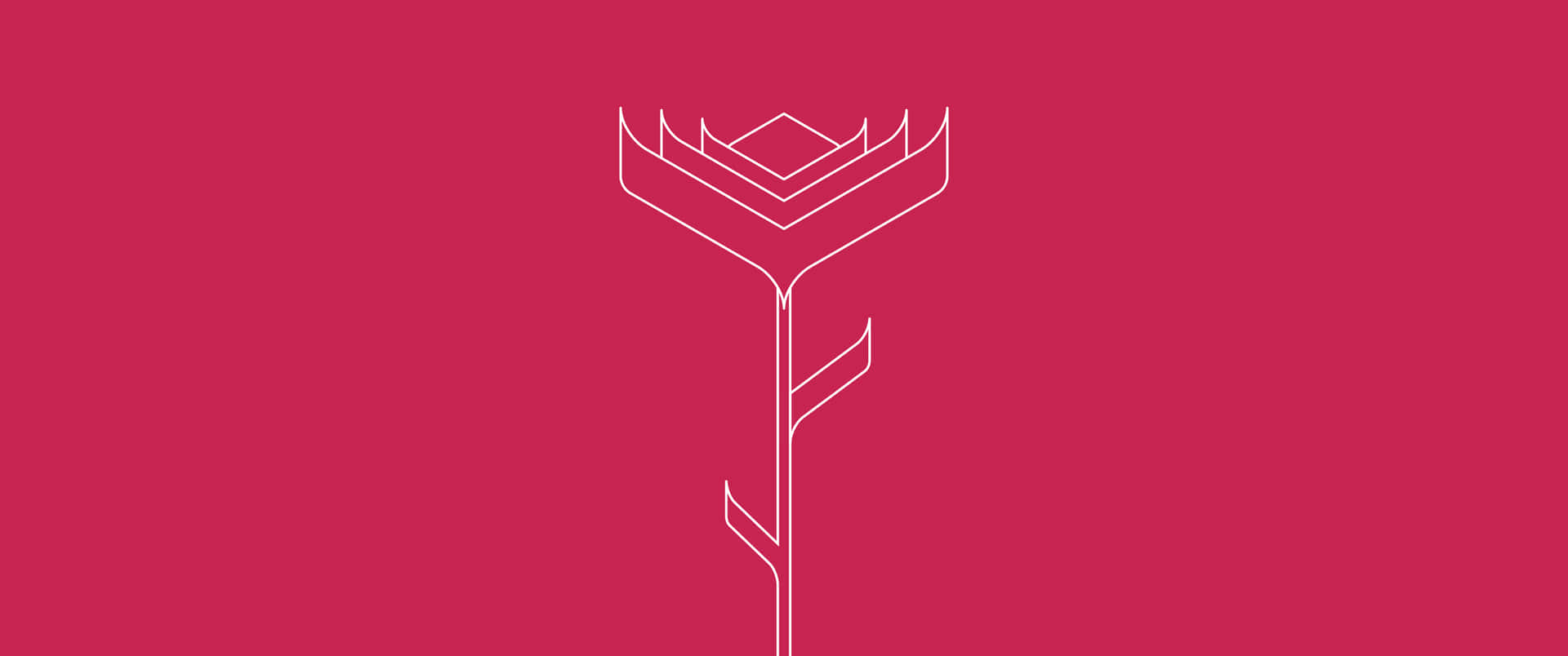 A Calming Minimalist Aesthetics In 3440x1440 Resolution Background