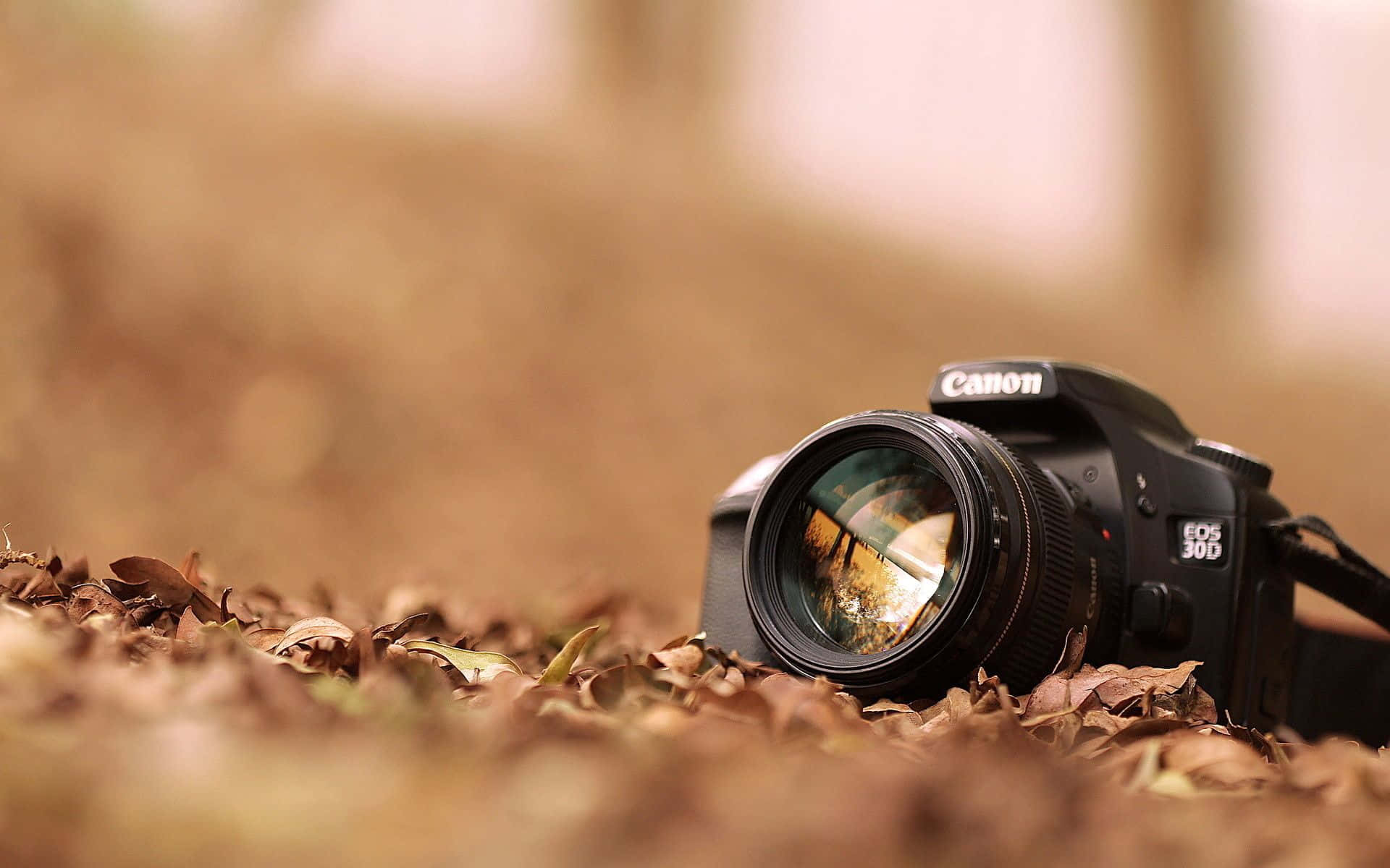 A Camera Is Laying On The Ground With Leaves Around It Background