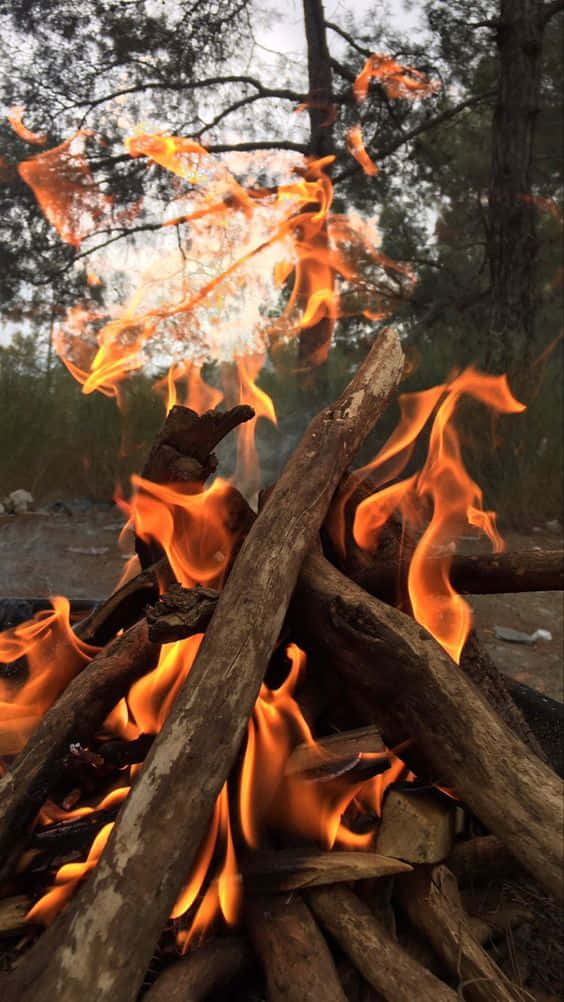 A Campfire With Logs And Firewood Background