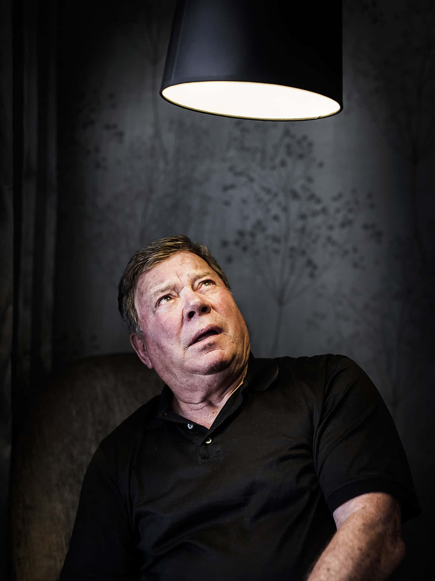 A Captivating Portrait Of William Shatner