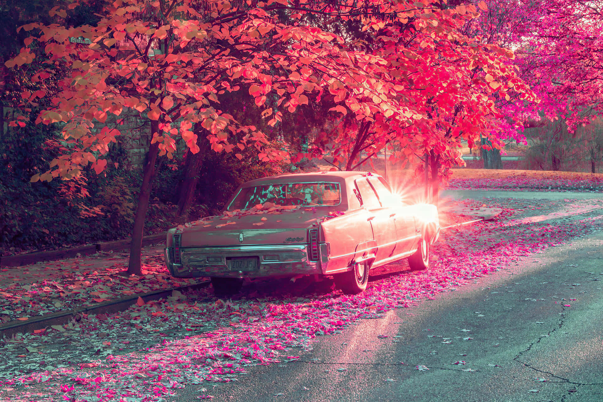 A Car Parked On A Street With A Tree In The Background Background