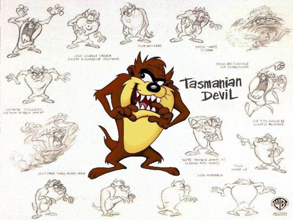 tasmanian devil looney tunes wallpaper