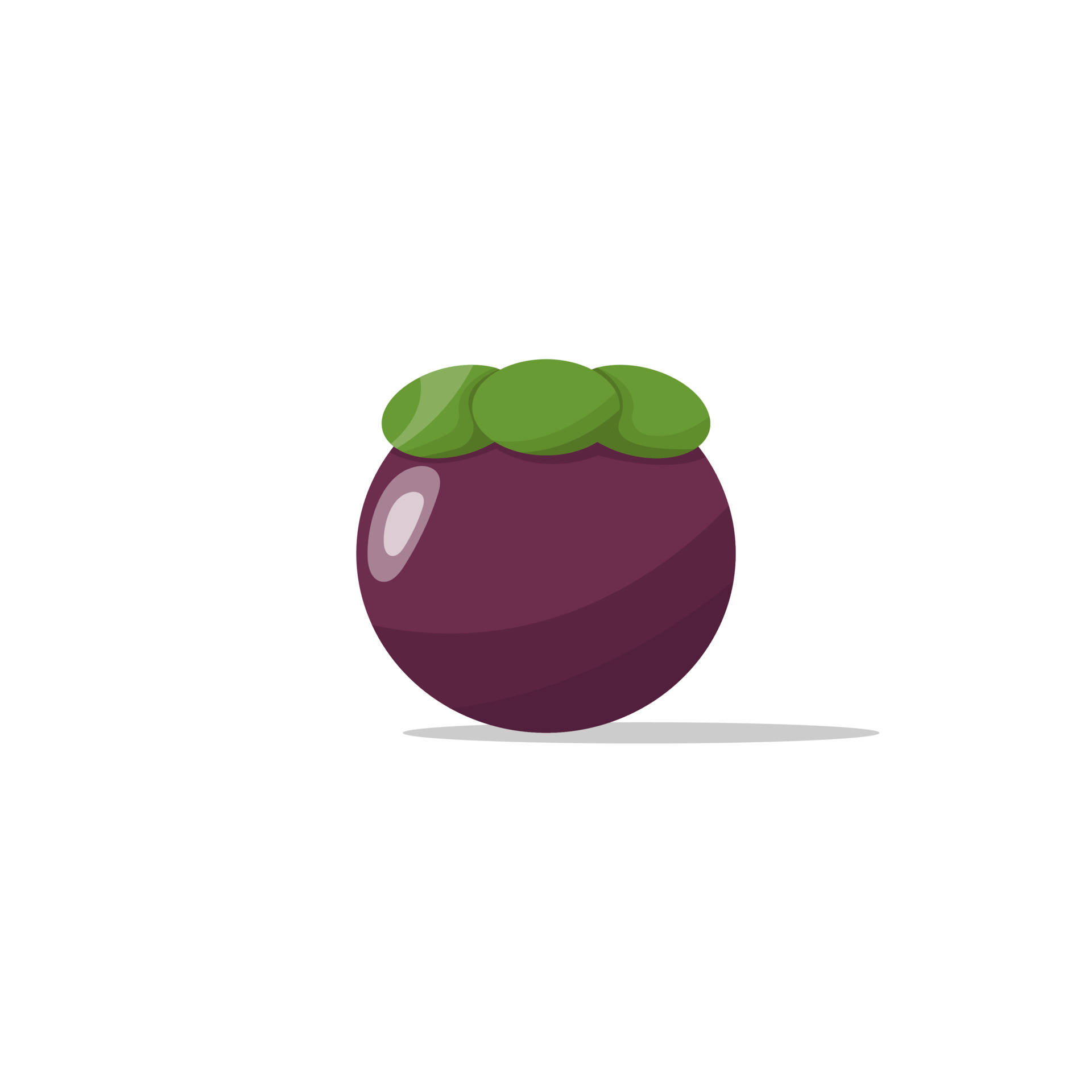 A Cartoon Illustration Of A Shiny Mangosteen Fruit