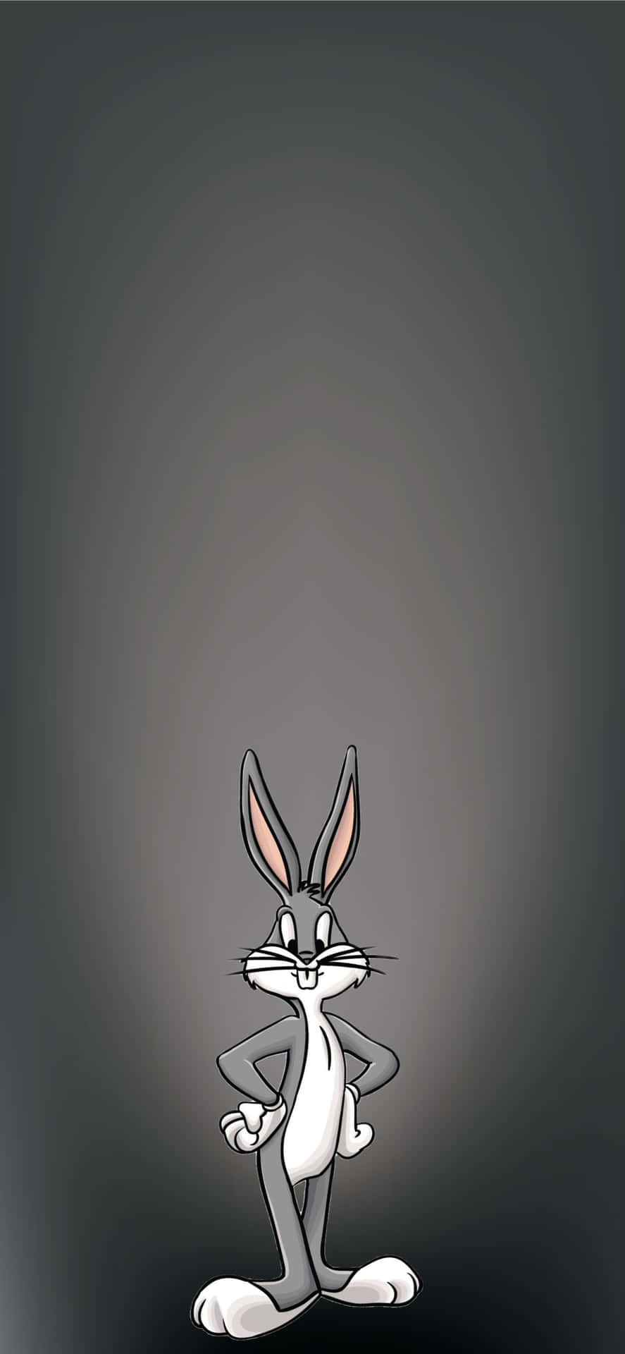 A Cartoon Rabbit Standing On A Dark Background Background