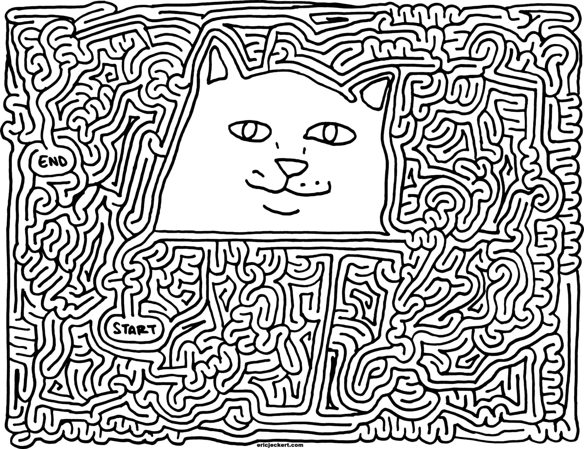 A Cat In A Maze With A Maze Background