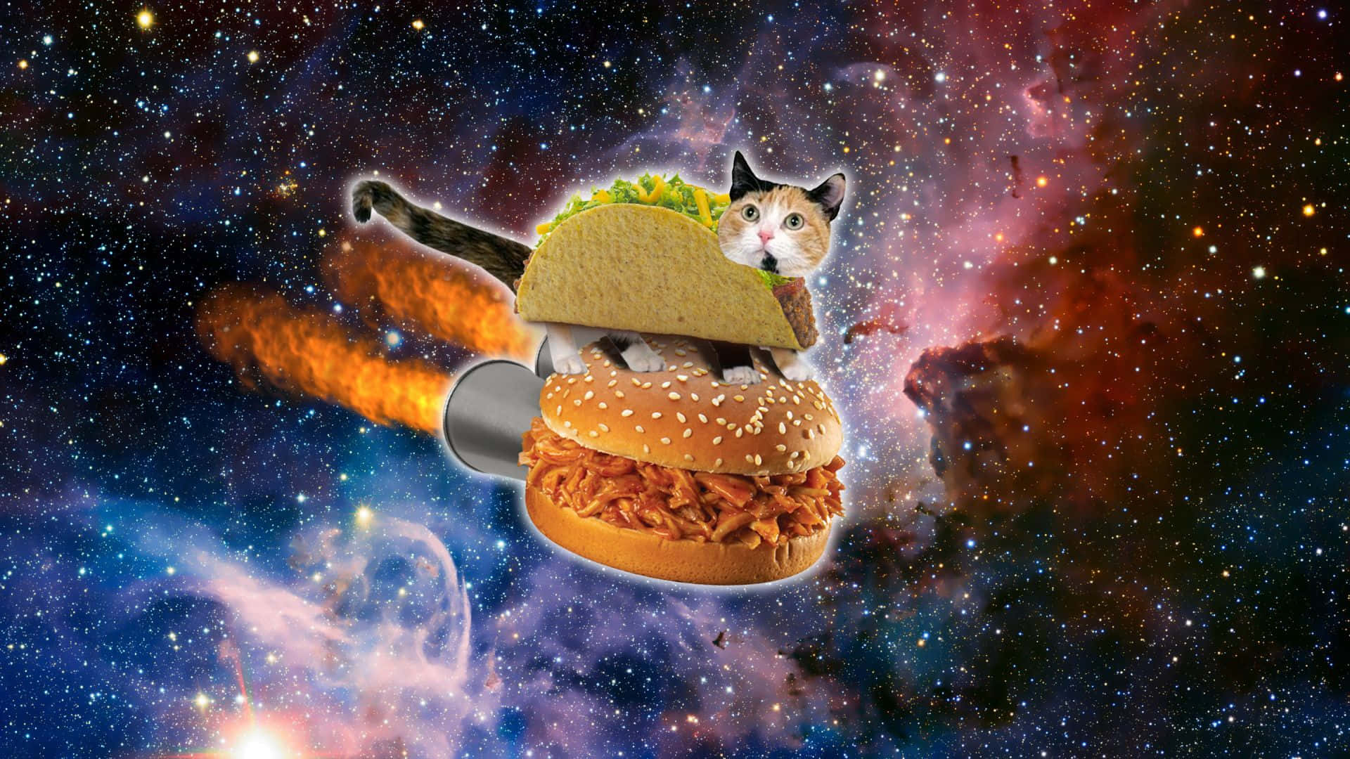 A Cat Is Flying In Space With A Taco In The Sky Background