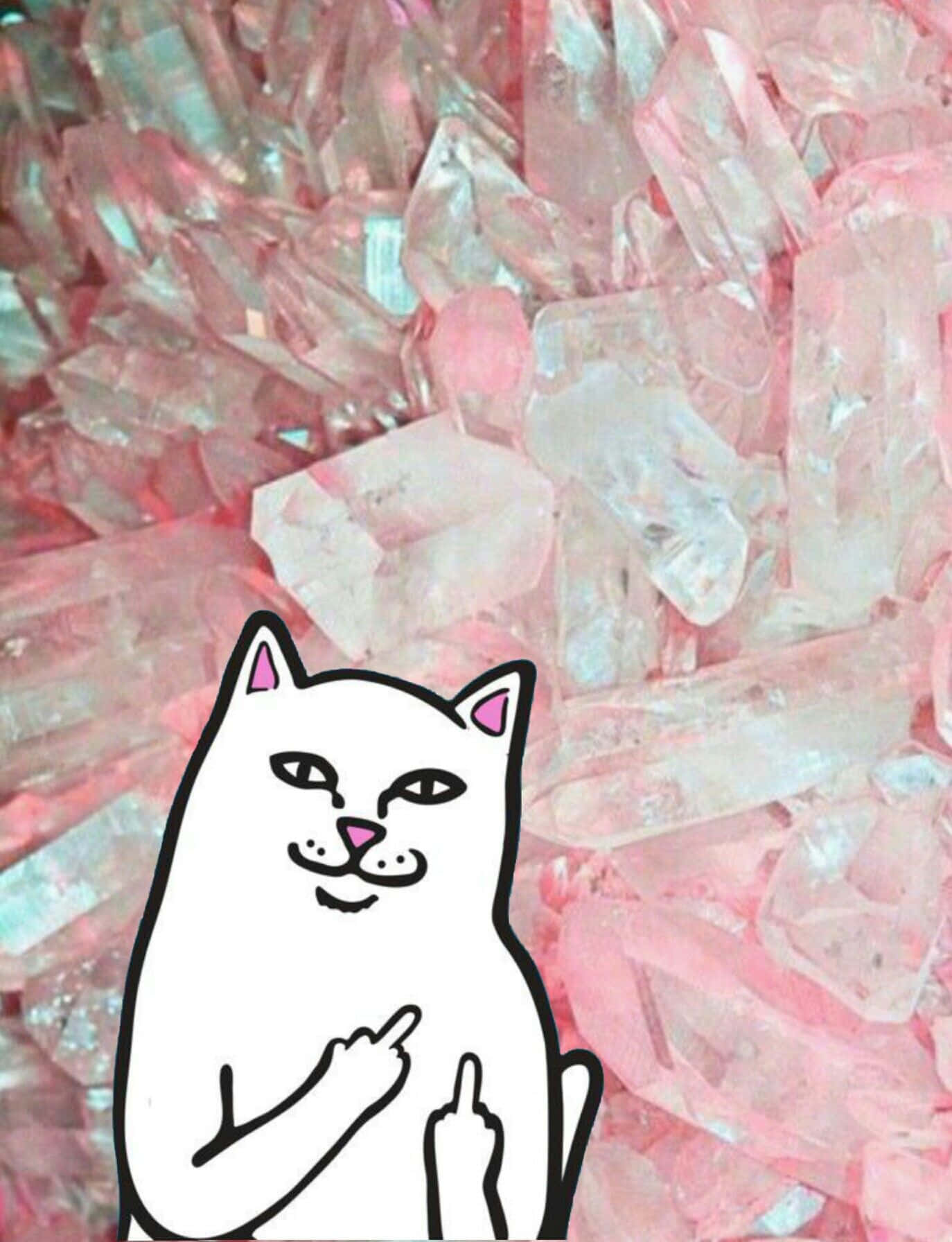 A Cat Is Sitting On Top Of A Pile Of Pink Crystals
