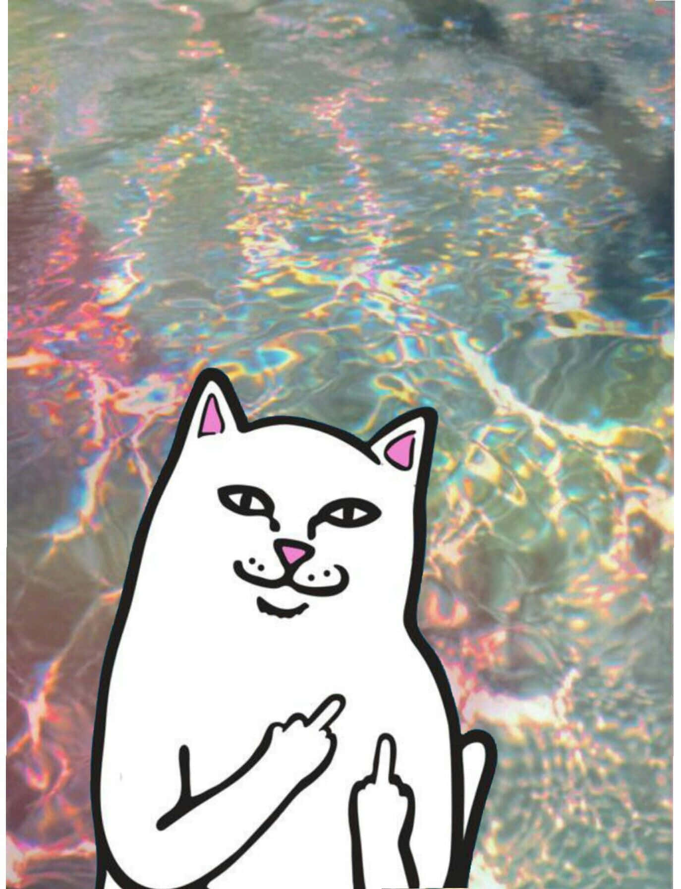 A Cat Is Standing In The Water With A Paw Up Background