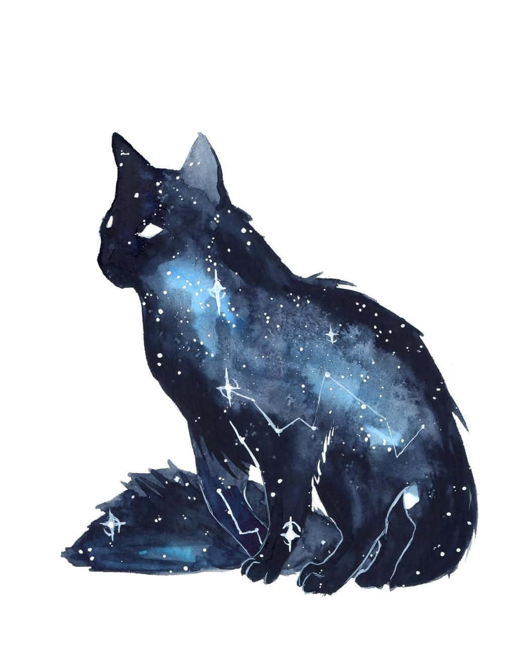 “a Cat That's Out Of This World”