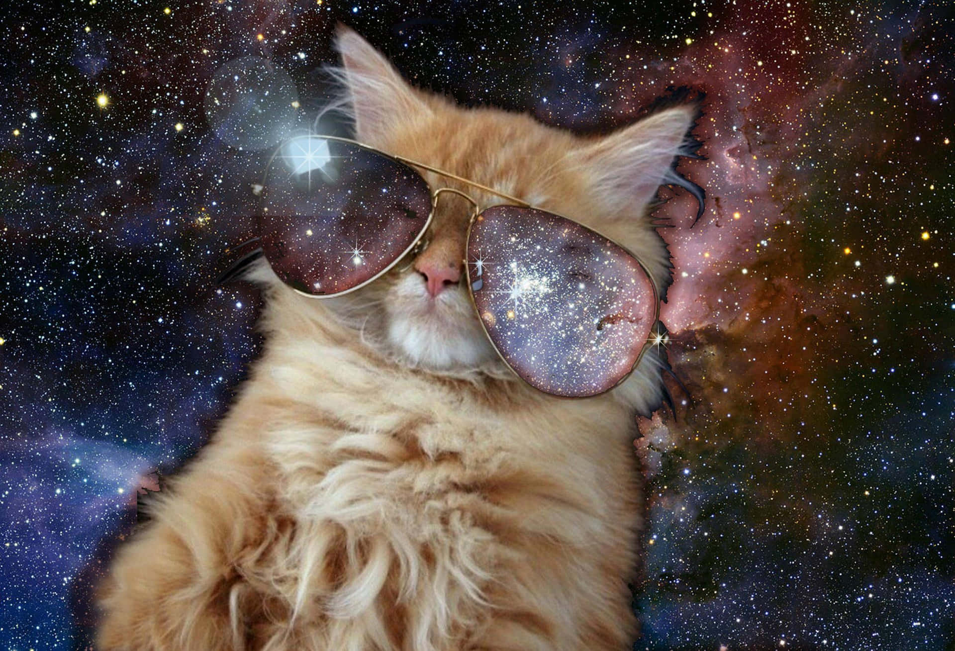 A Cat Wearing Sunglasses In Space Background