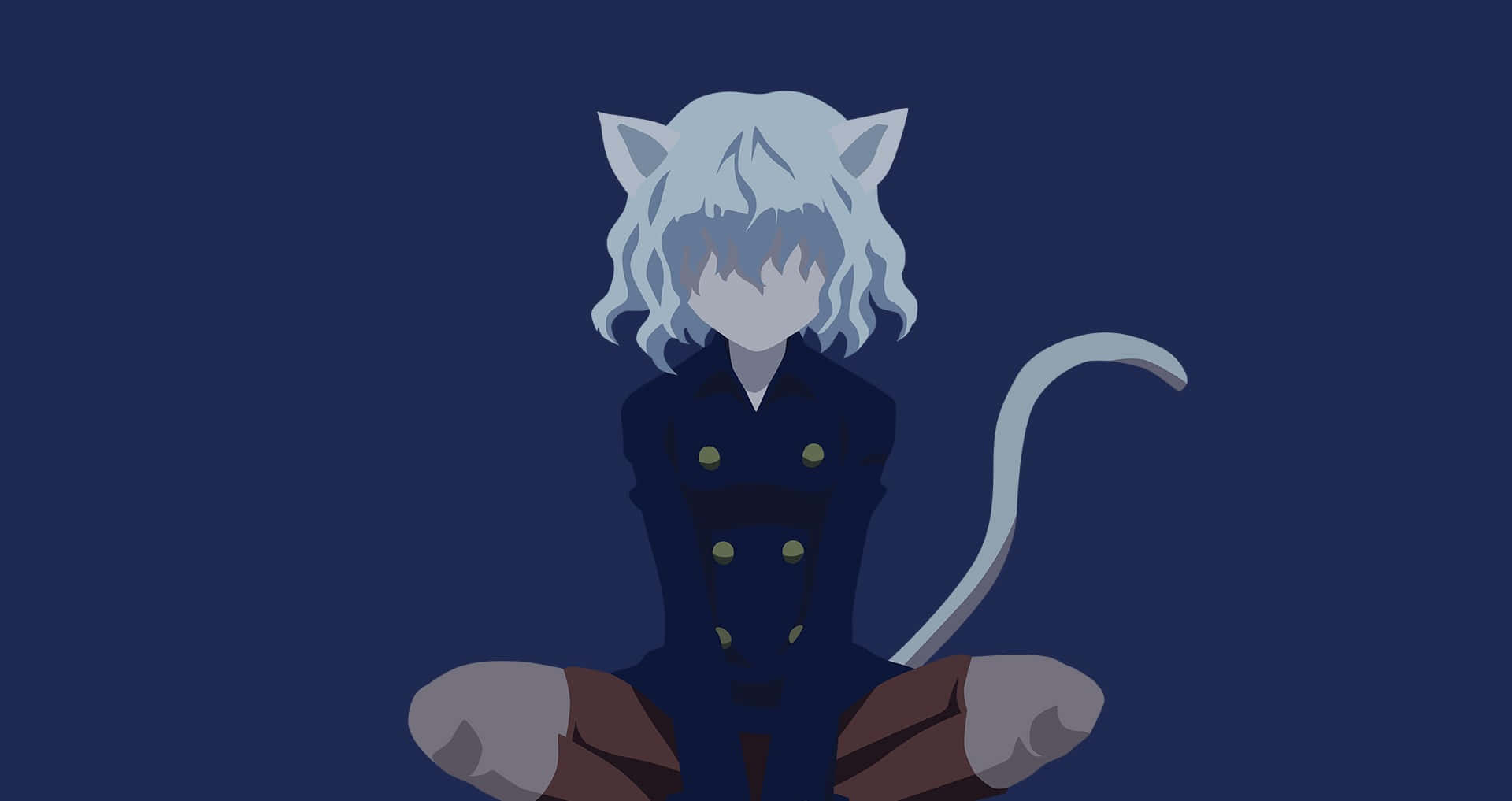 A Cat With White Hair Sitting On The Ground