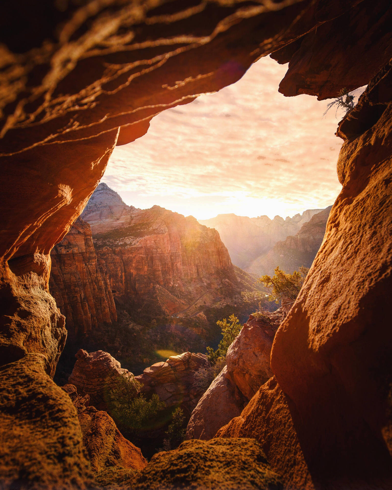 A Cave In Zion National Park Background