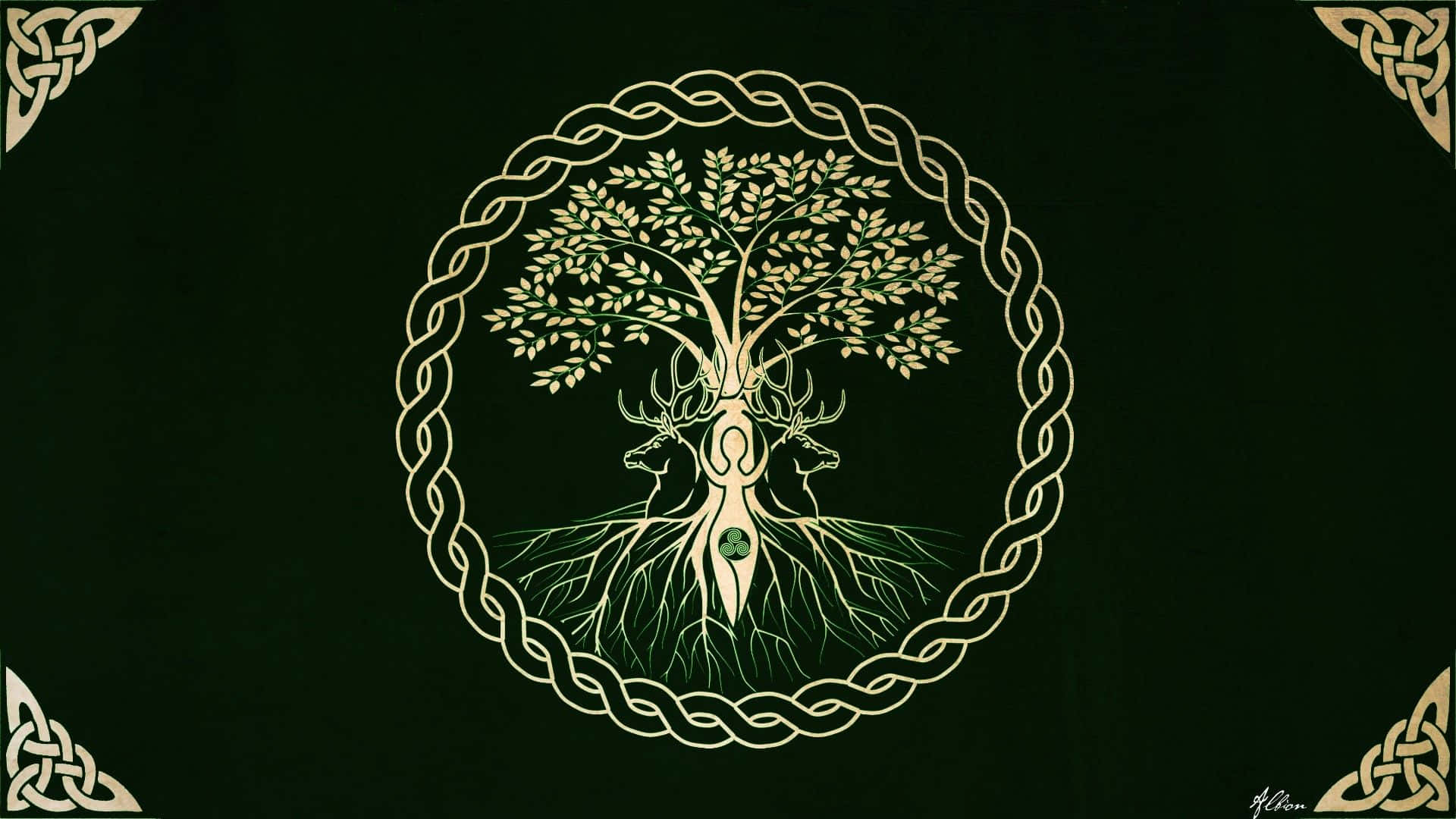 A Celtic Tree Of Life On A Black Background Background
