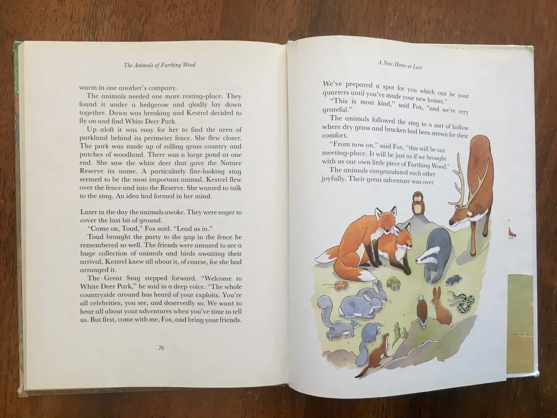A Chapter From The Animals Of Farthing Wood