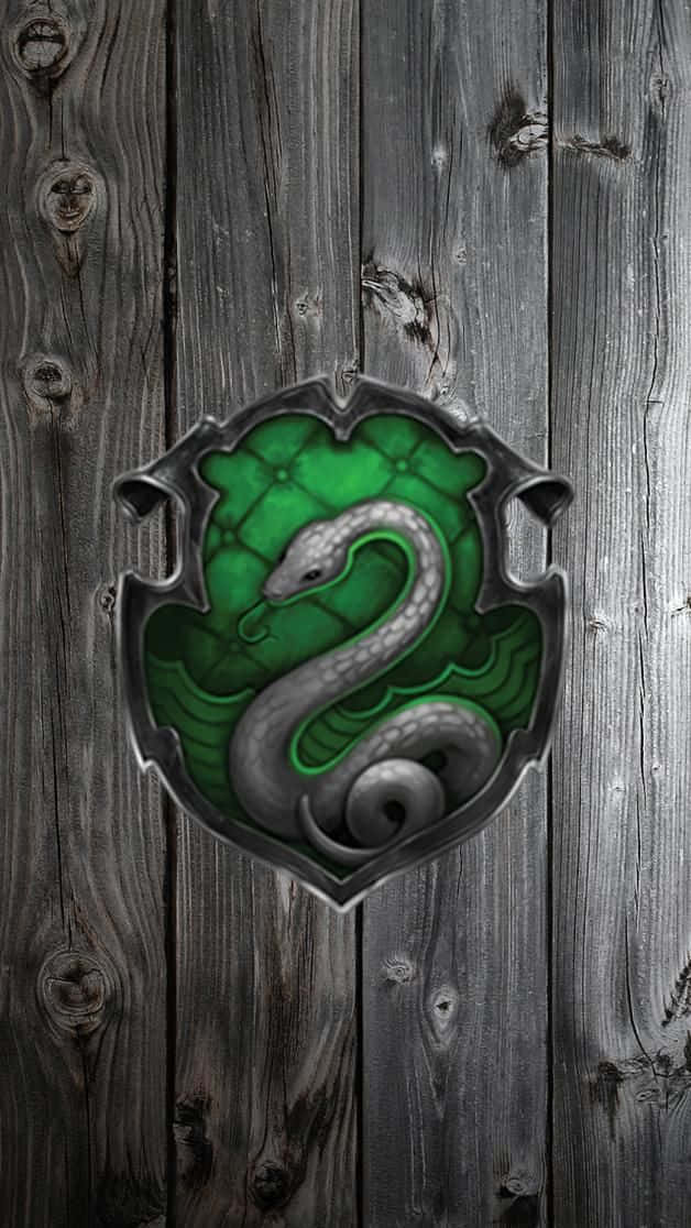 A Charismatic Slytherin