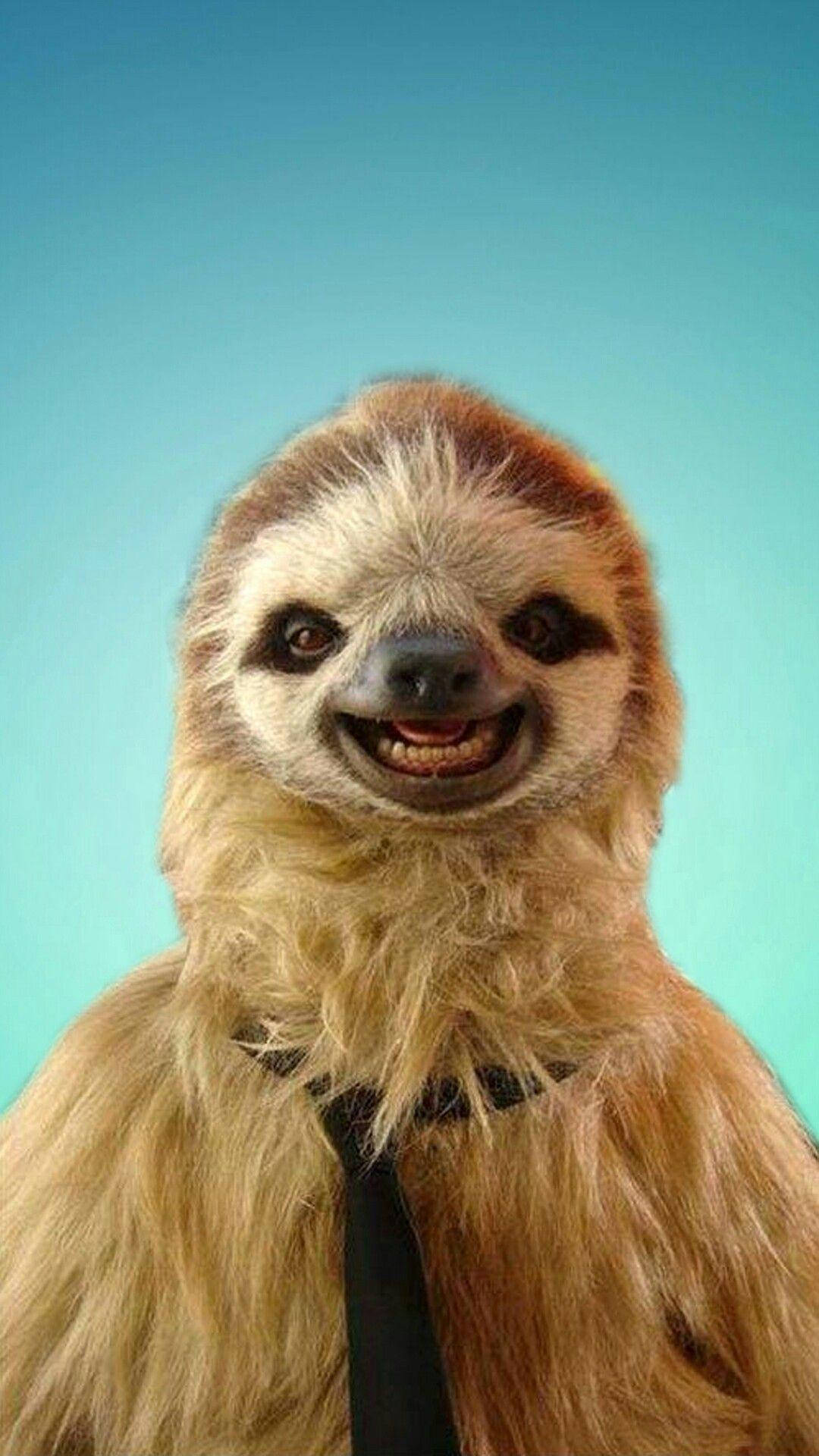 A Charming Baby Sloth Sporting A Stylish Tie Background