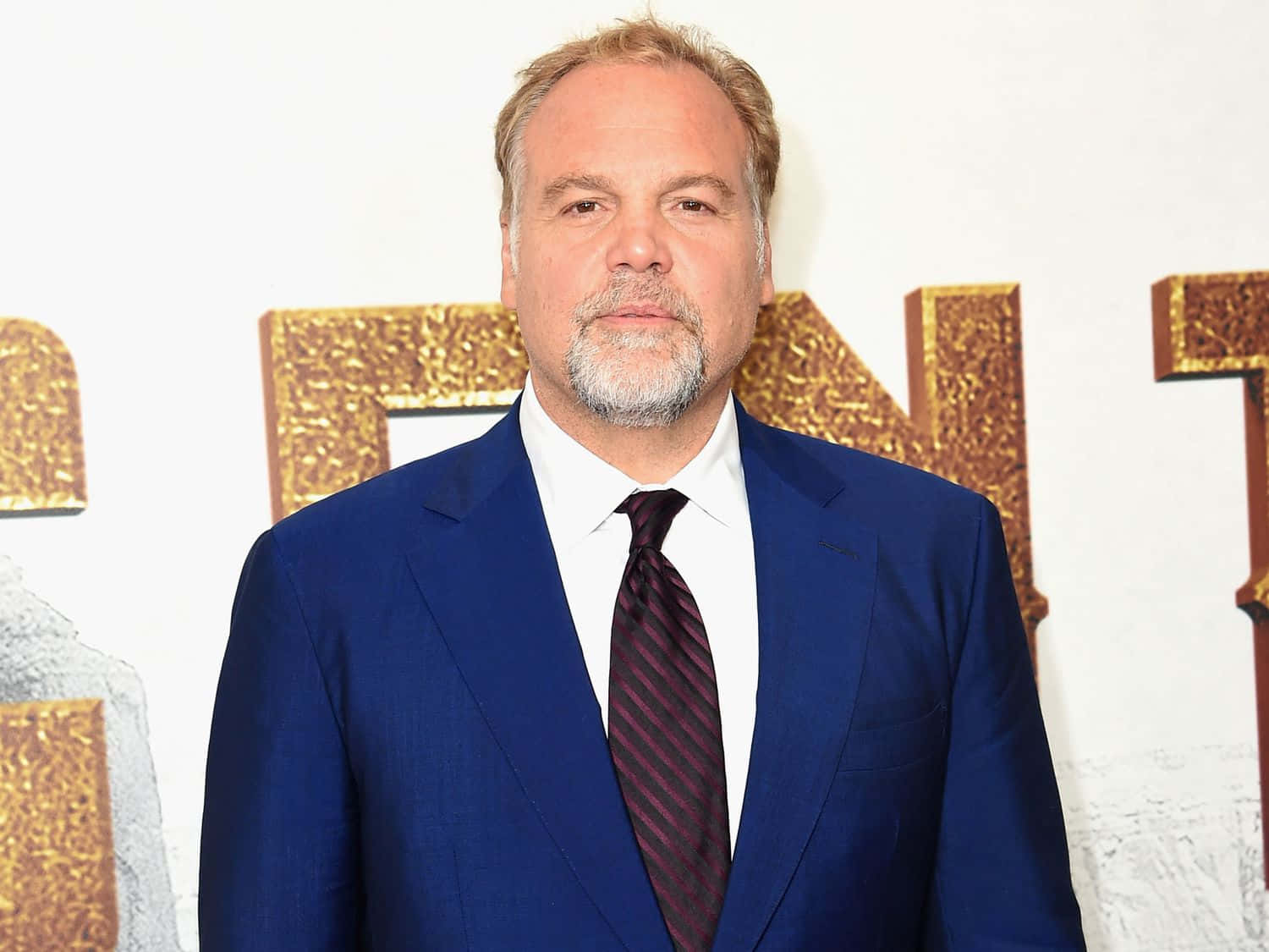 A Charming Portrait Of Vincent D'onofrio Background