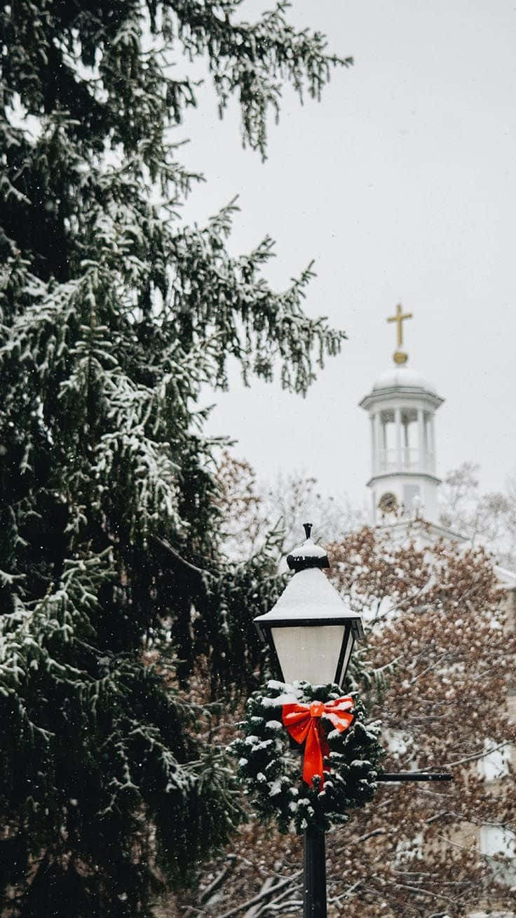 A Christmas Tree And A Street Light In The Snow