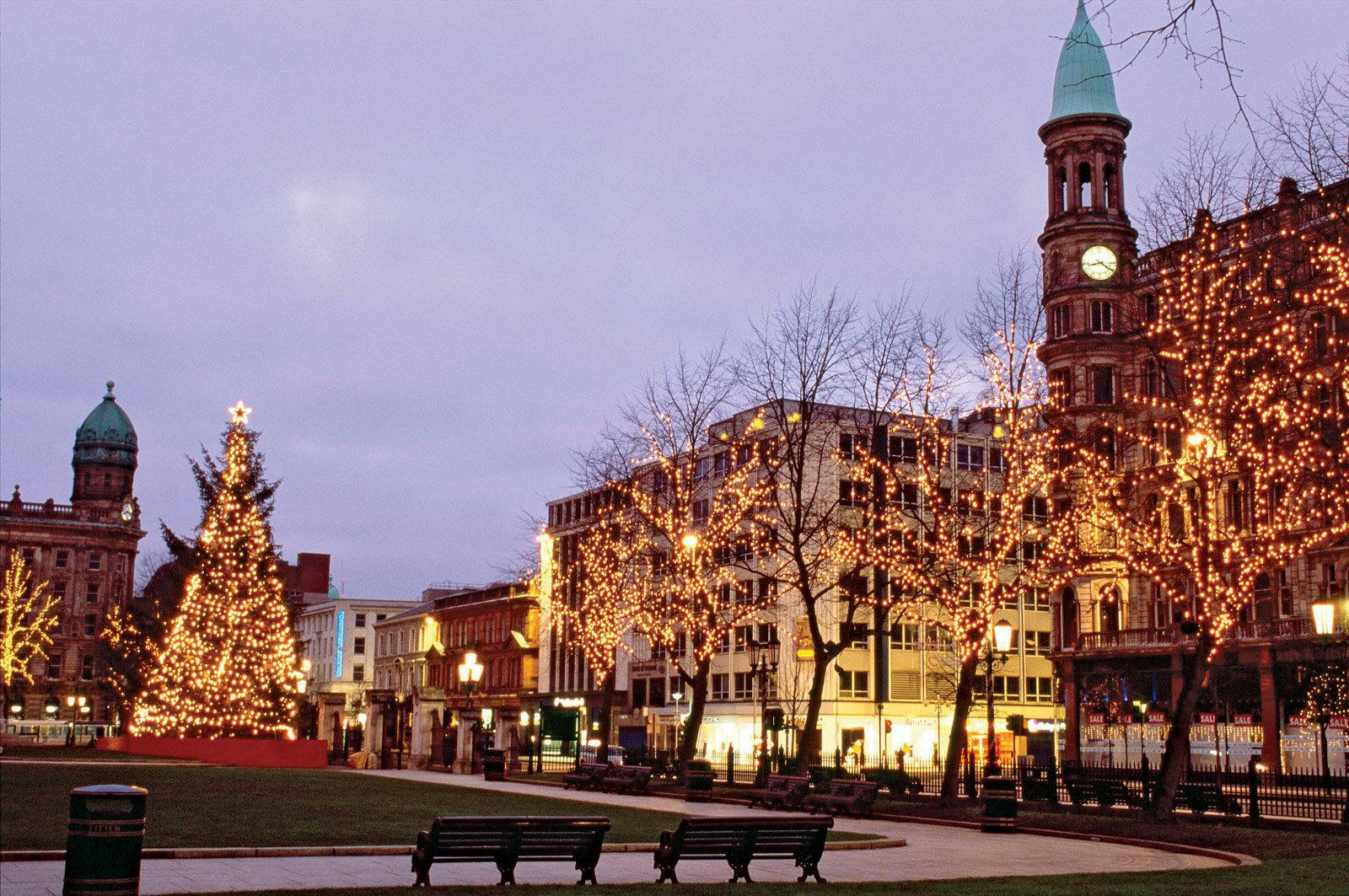 A Christmas Tree In The Middle Of A City