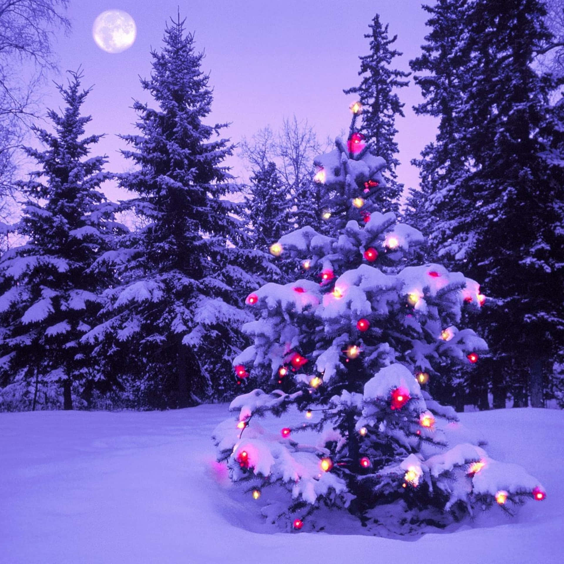 A Christmas Tree In The Snow With A Full Moon Background