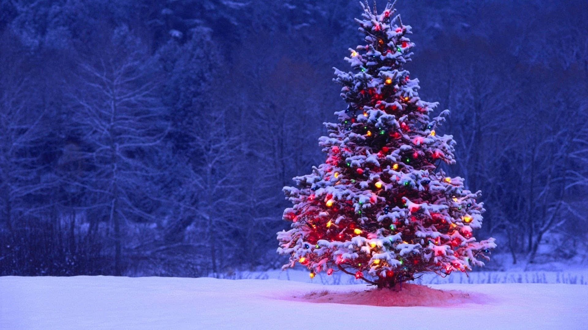 A Christmas Tree In The Snow With Lights On It