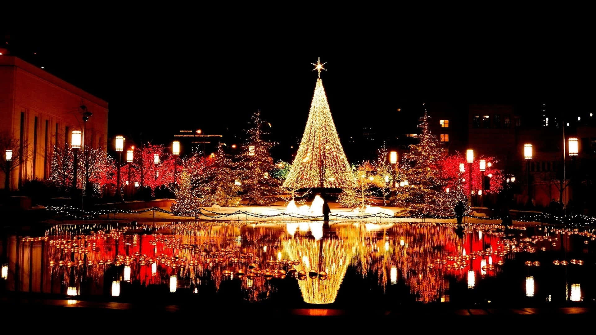 A Christmas Tree Is Lit Up In A Pond Background