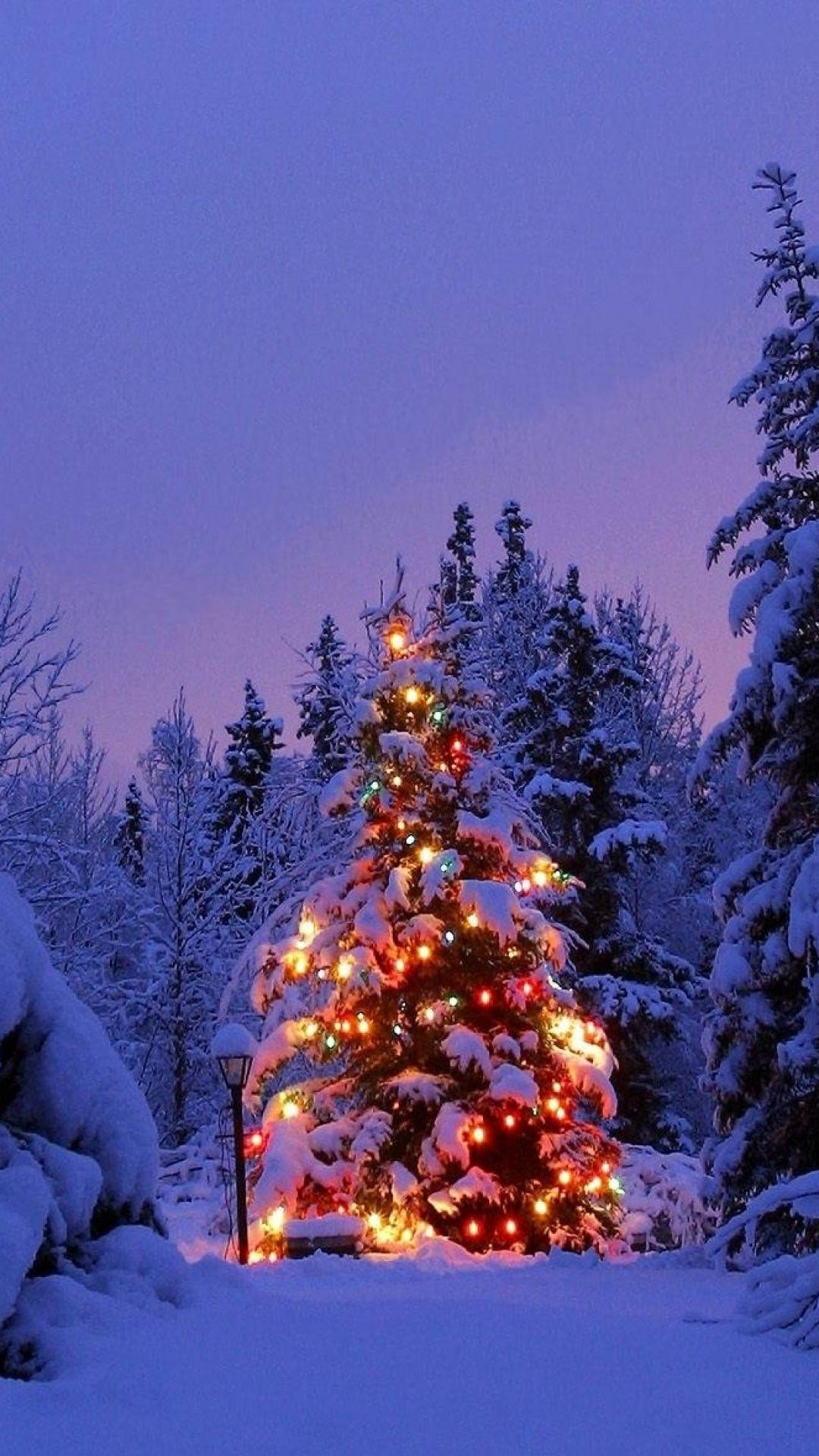 A Christmas Tree Is Lit Up In The Snow Background