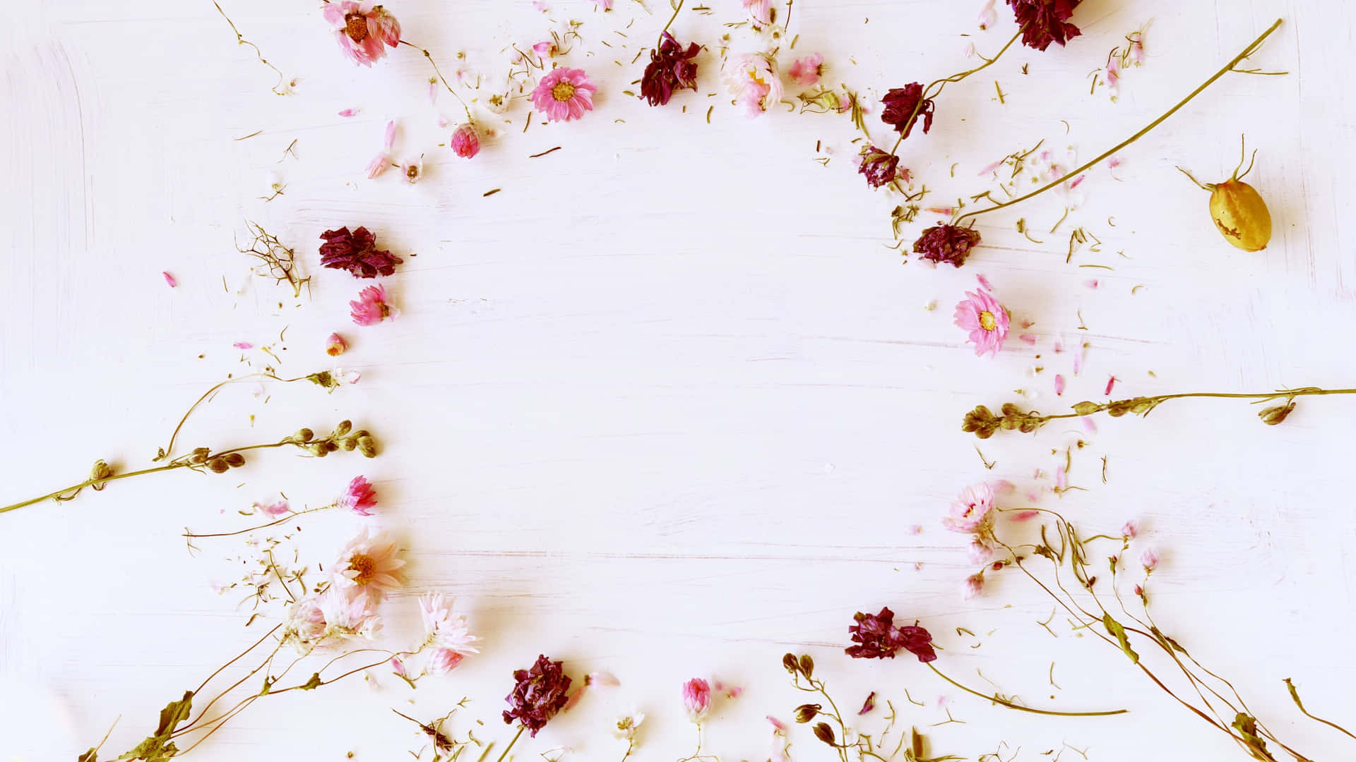 A Circle Of Dried Flowers On A White Background Background