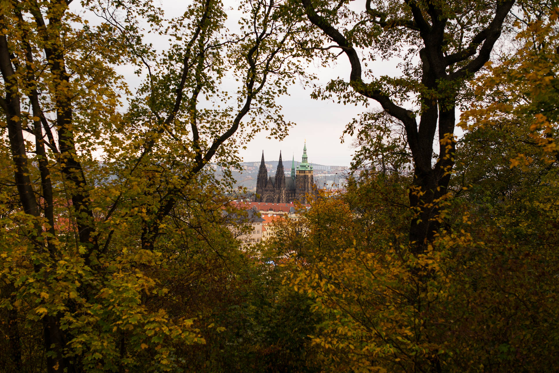 A City In The Distance Background