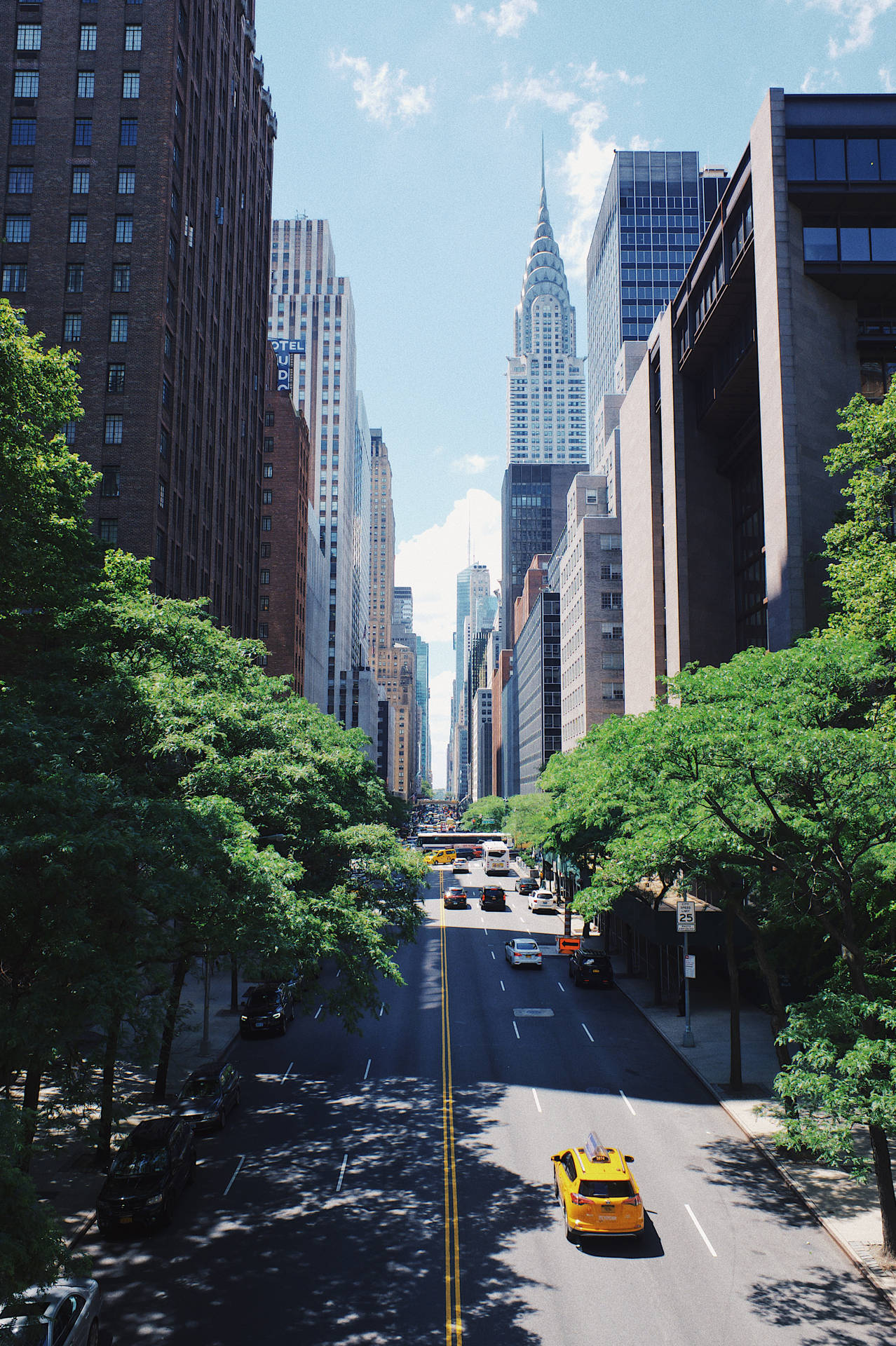 A City Street With Tall Buildings And Trees Background