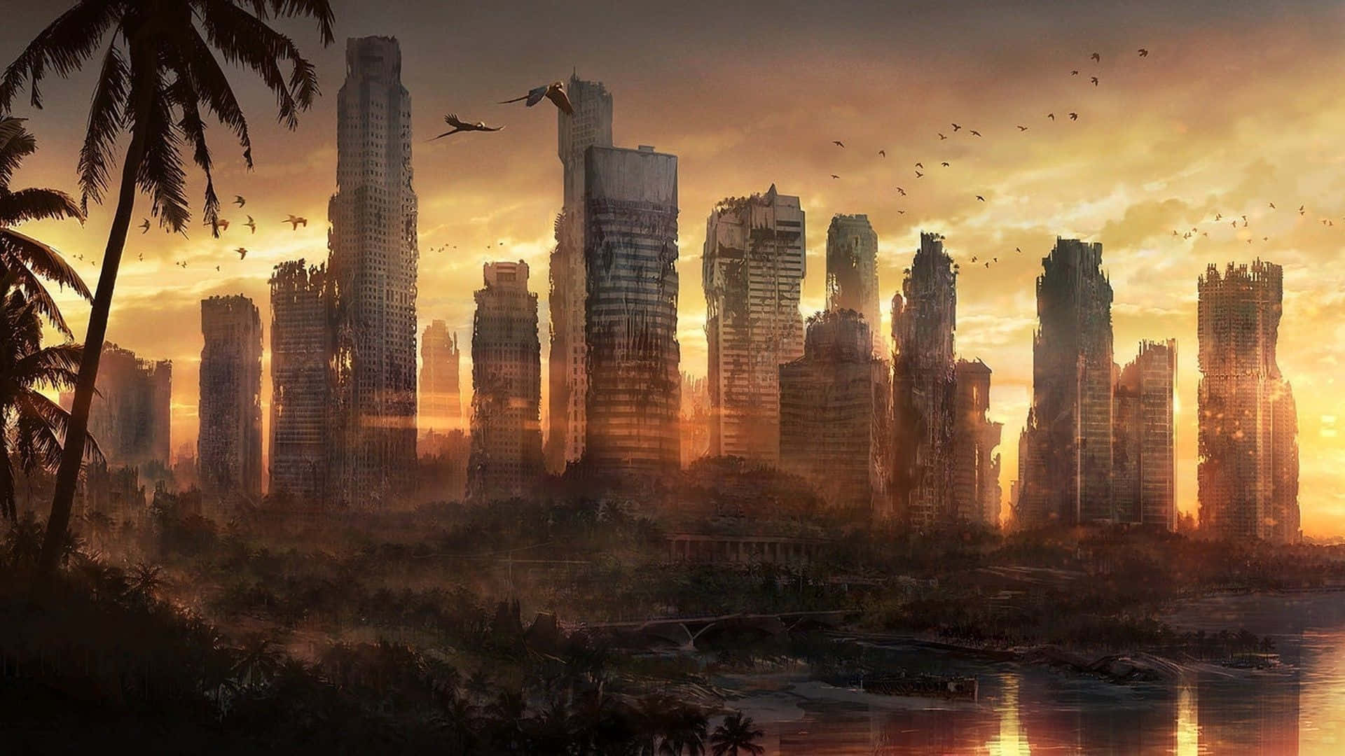 A City With A Sunset And Birds Background